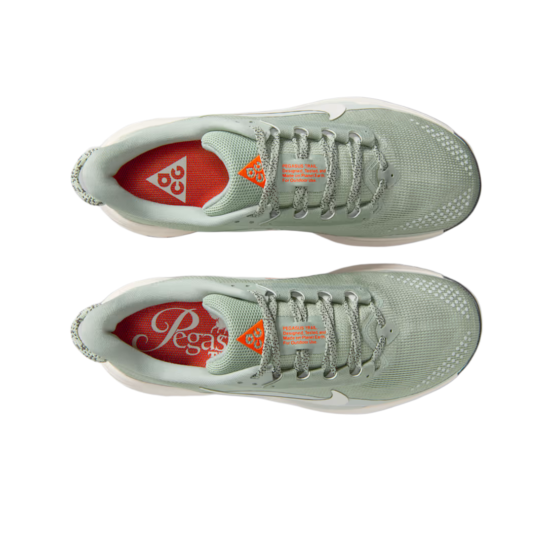 (W) 나이키 ACG 페가수스 트레일 제이드 호라이즌 라이트 실버((W) Nike ACG Pegasus Trail Jade Horizon Light Silver) - 2