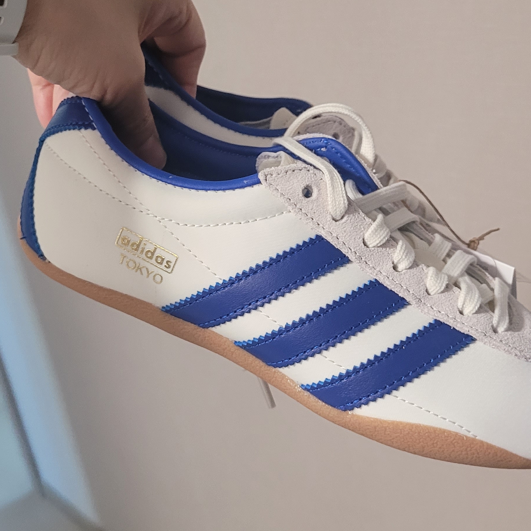 (W) Adidas Tokyo Off White Royal Blue 착용 스타일 - 3