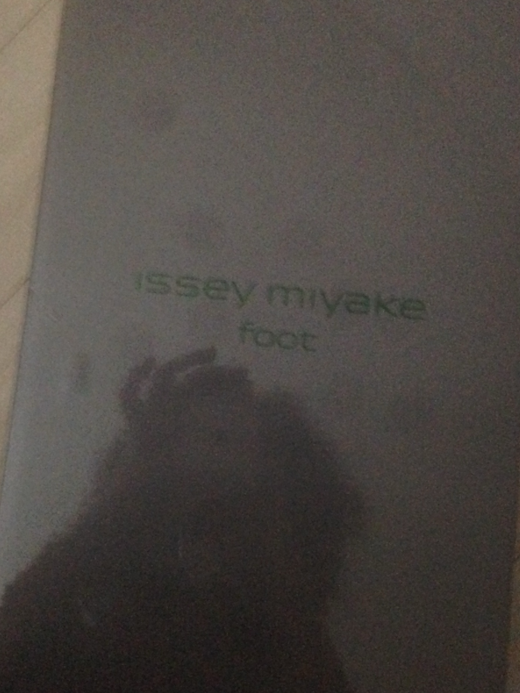 Asics x Issey Miyake Hyper Taping Grey 착용 스타일 - 3