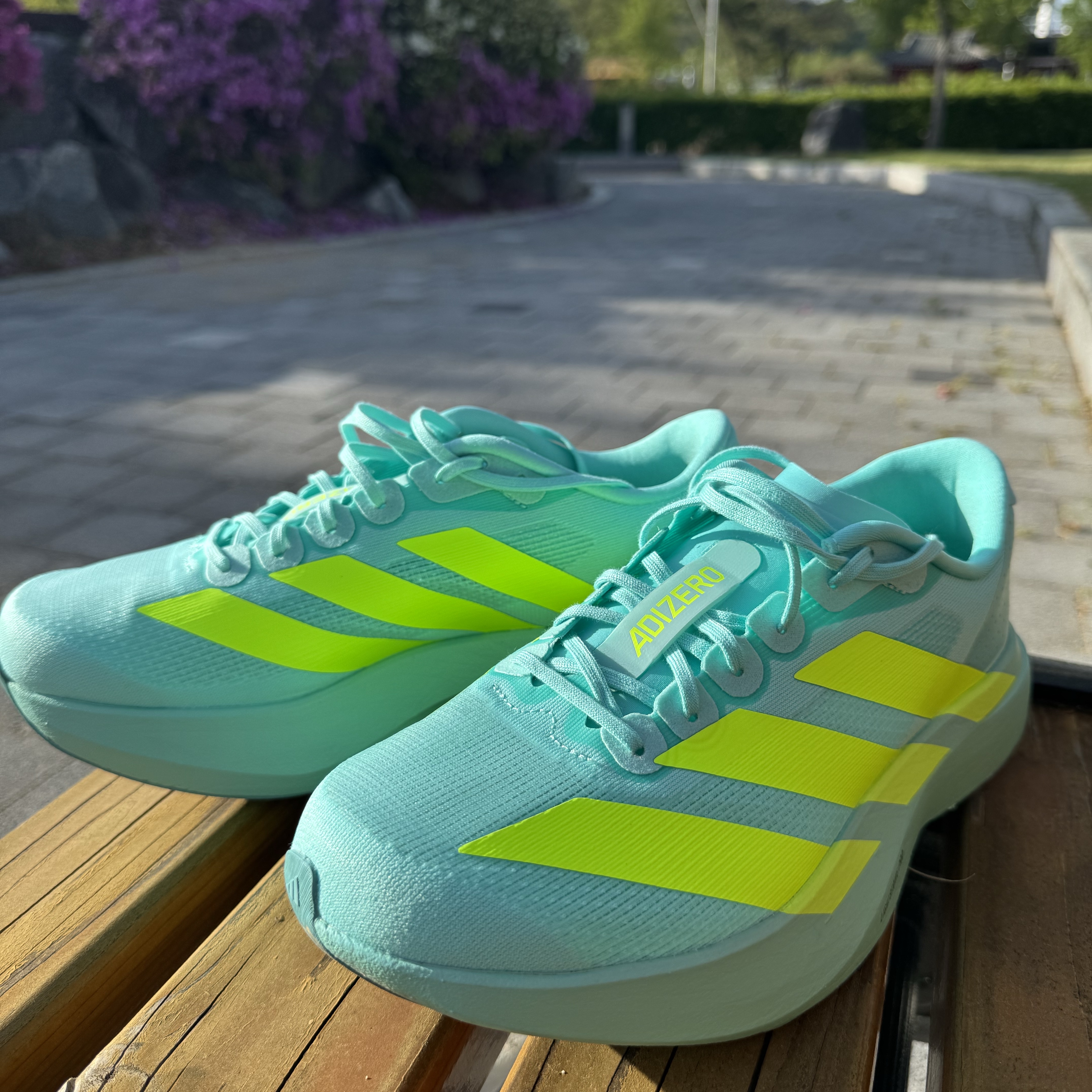 Adidas Adizero EVO SL Flash Aqua Lucid Lemon 착용 스타일 - 3