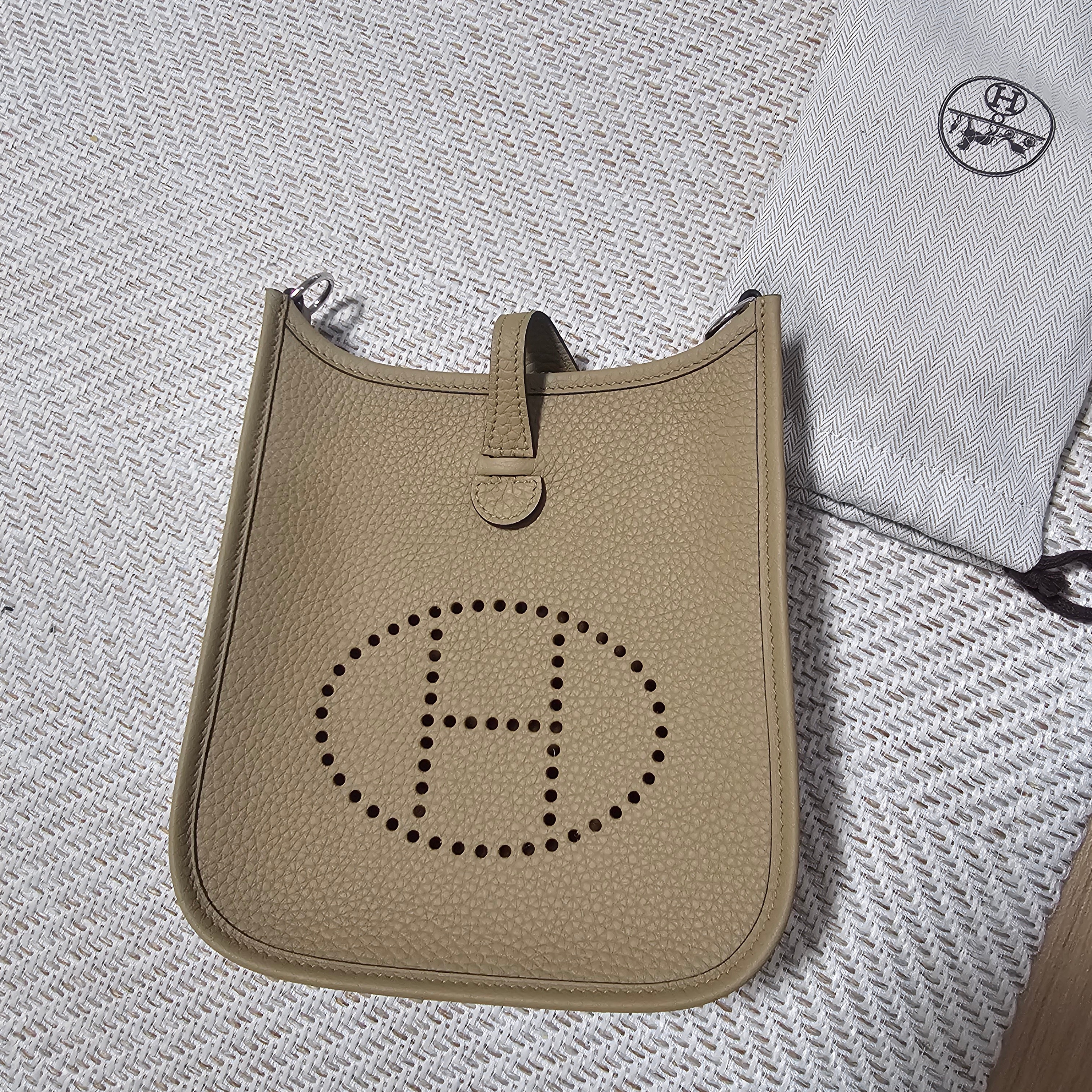 Hermes Evelyne 16 Amazone Bag Clemence & Palladium Poussiere 착용 스타일