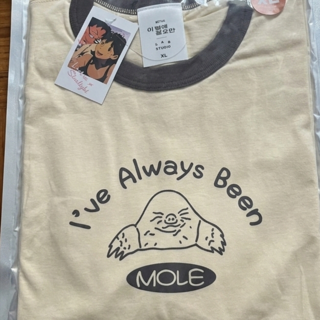 IAB Studio x Lost in Starlight Mole Ringer T-Shirt Ivory Brown 착용 스타일