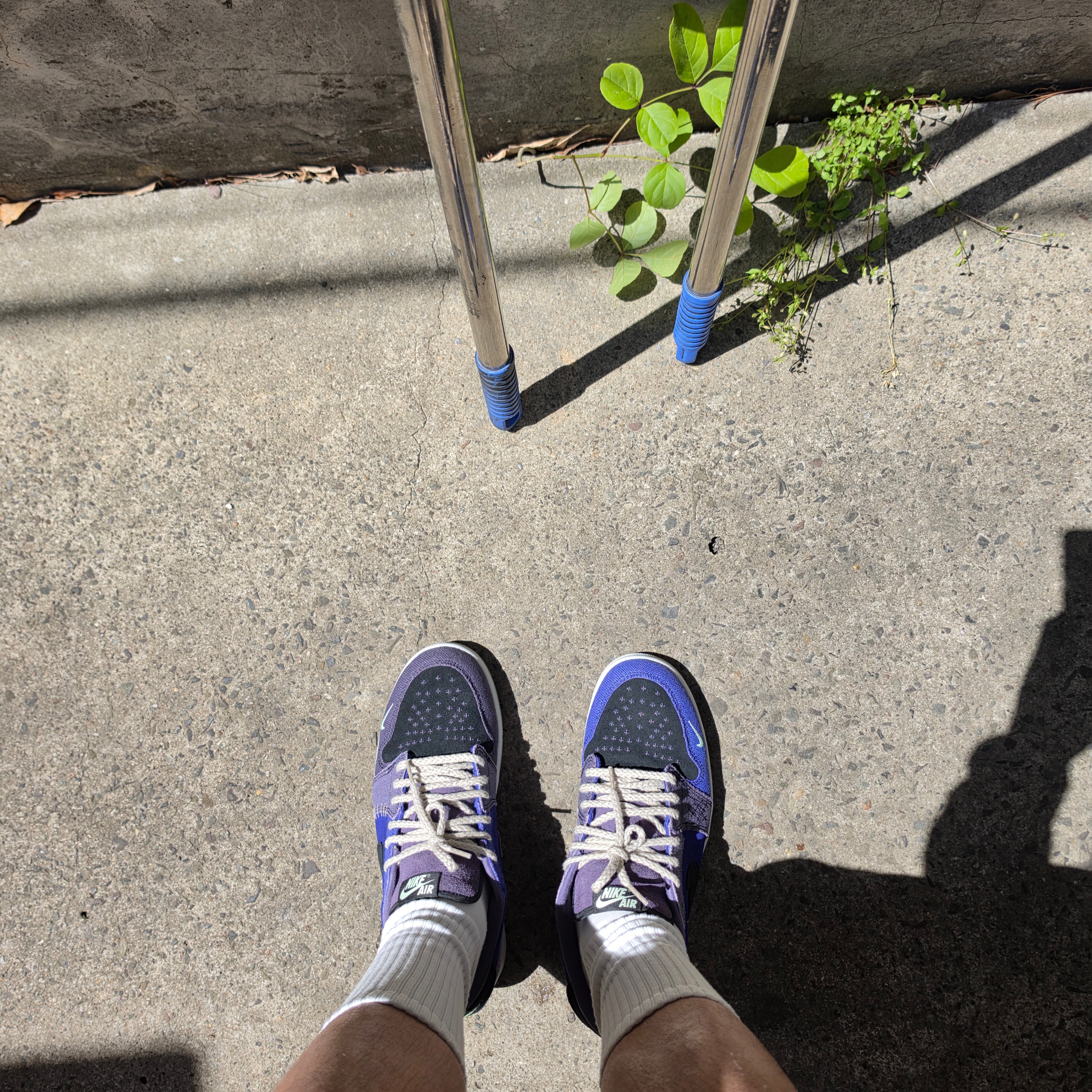Jordan 1 x Zion Williamson Retro Low OG Regency Purple and Dark Raisin 착용 스타일