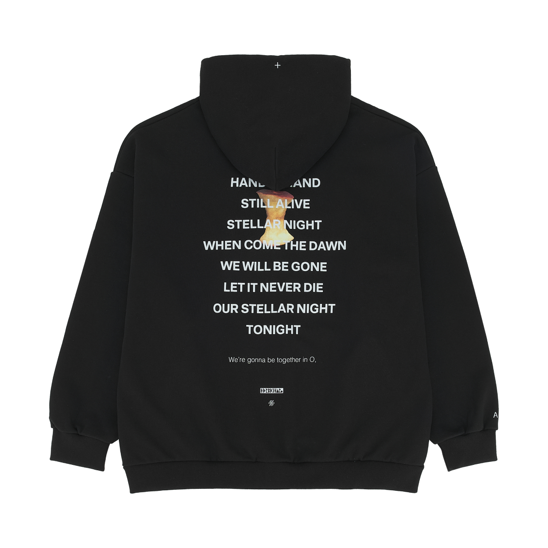 박효신 라이브 A&E 2026 A 집업 후디 블랙(Park Hyo Shin Live A&E 2026 A Zip-Up Hoodie Black) - 2
