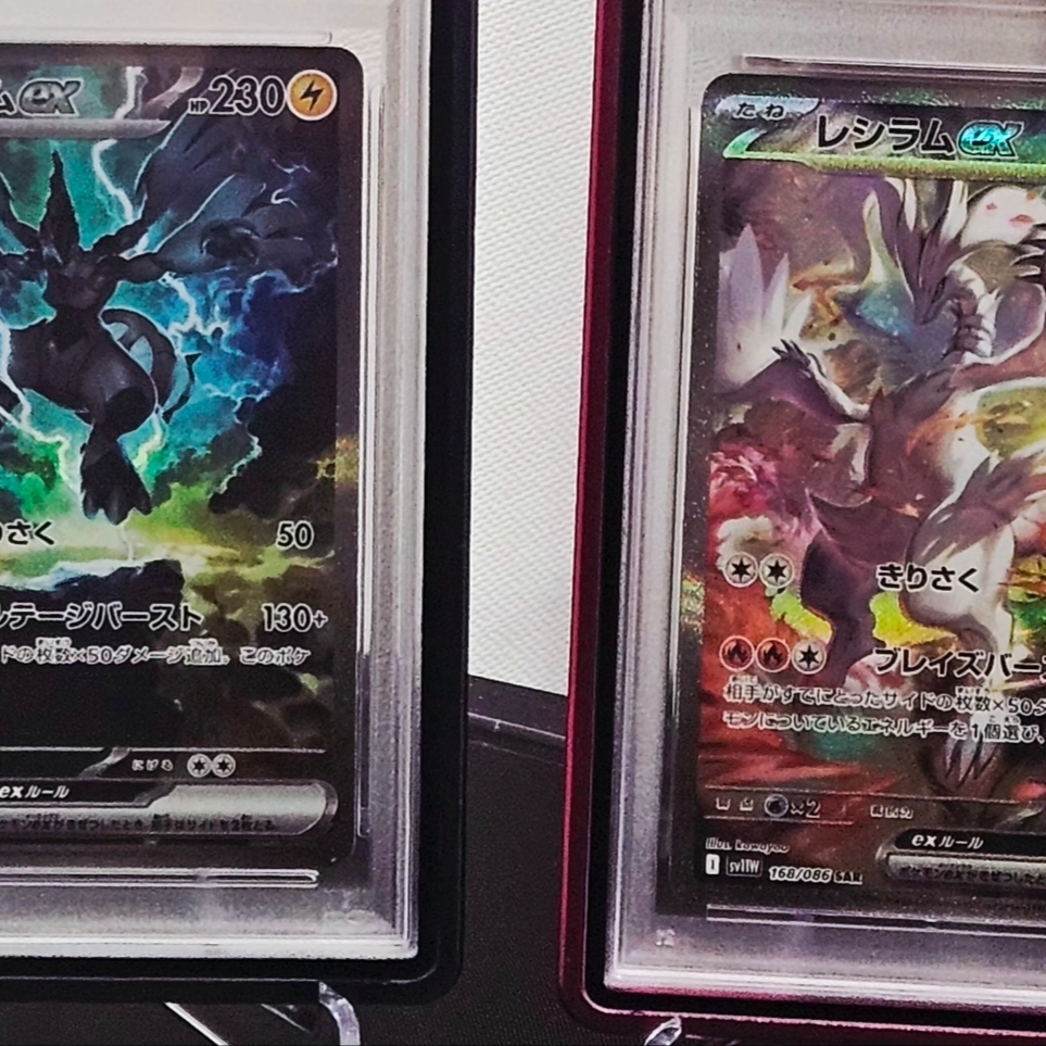 Pokemon TCG Zekrom ex SAR Black Bolt (Japanese Ver.) 착용 스타일