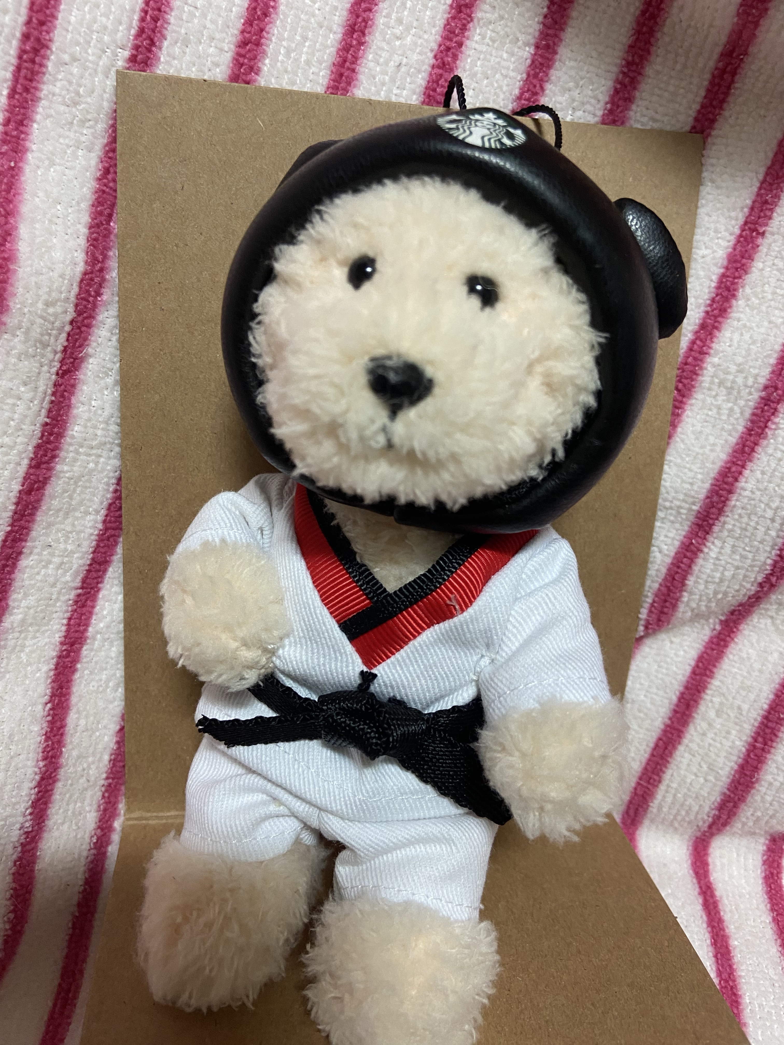 Starbucks Taekwondo Bearista Keychain 착용 스타일