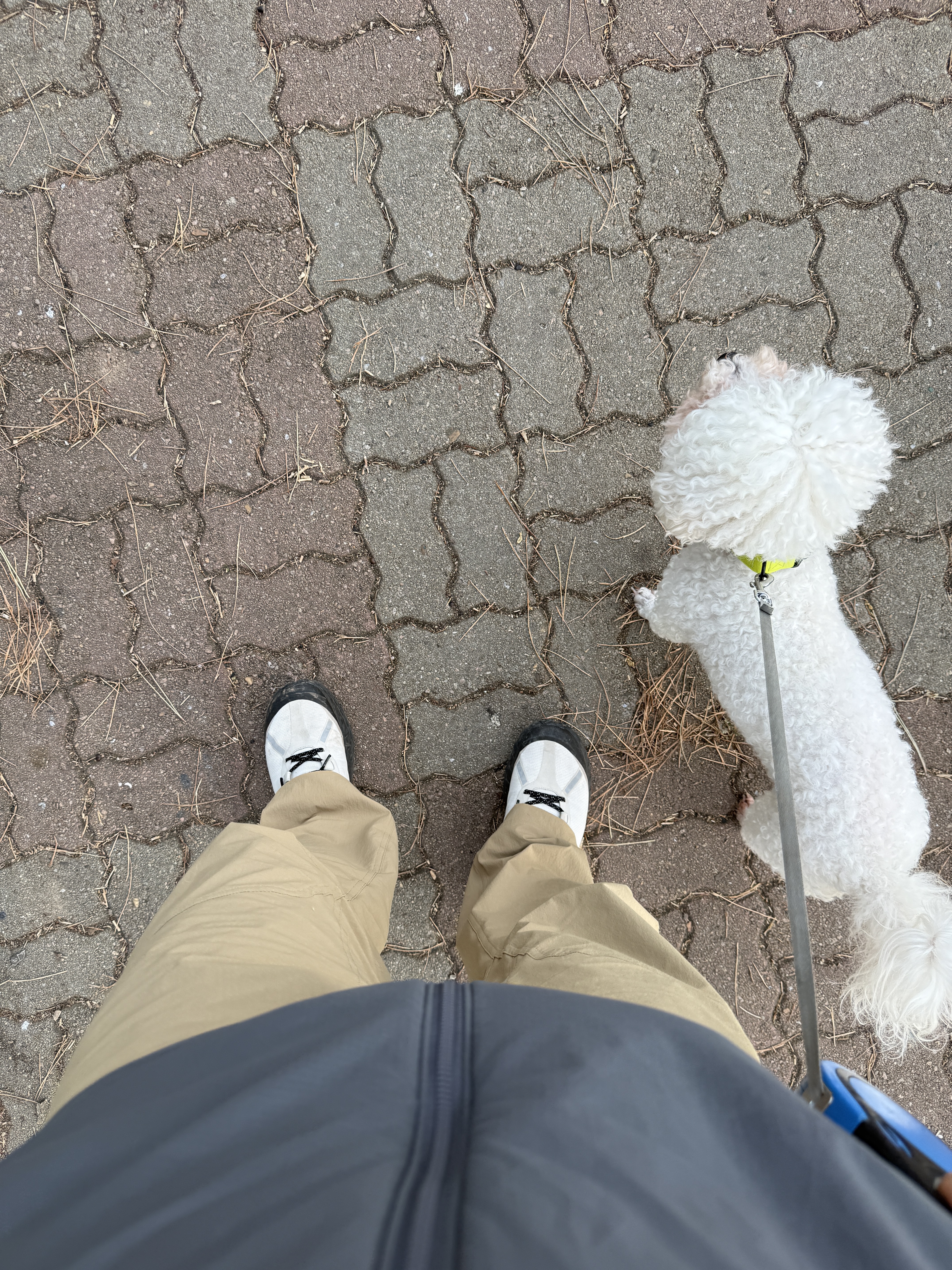 Norda 001/A Cinder, Arc'teryx LEAF Atom LT Hoody Gen 2.1 Wolf 착용 스타일