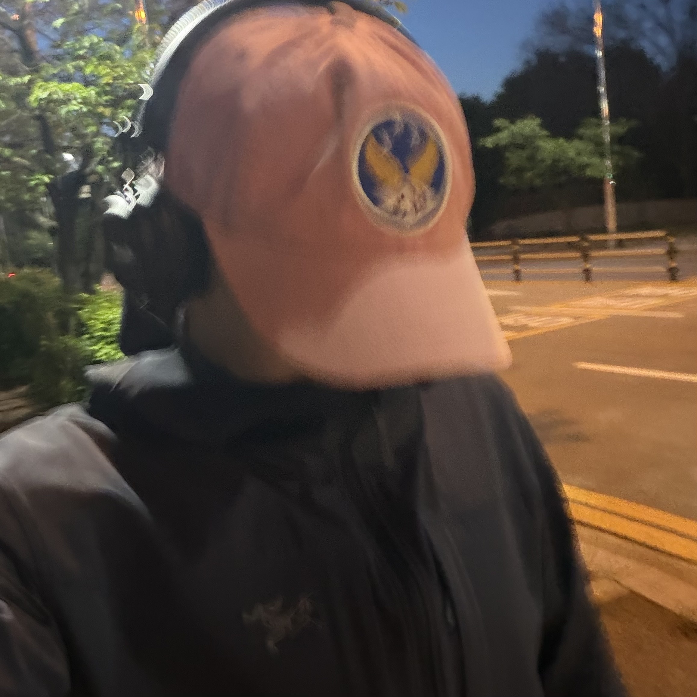 Double RL Garment Dyeing Twill Ball Cap Red, Arc'teryx Gamma Lightweight Hoody Black Sapphire 착용 스타일