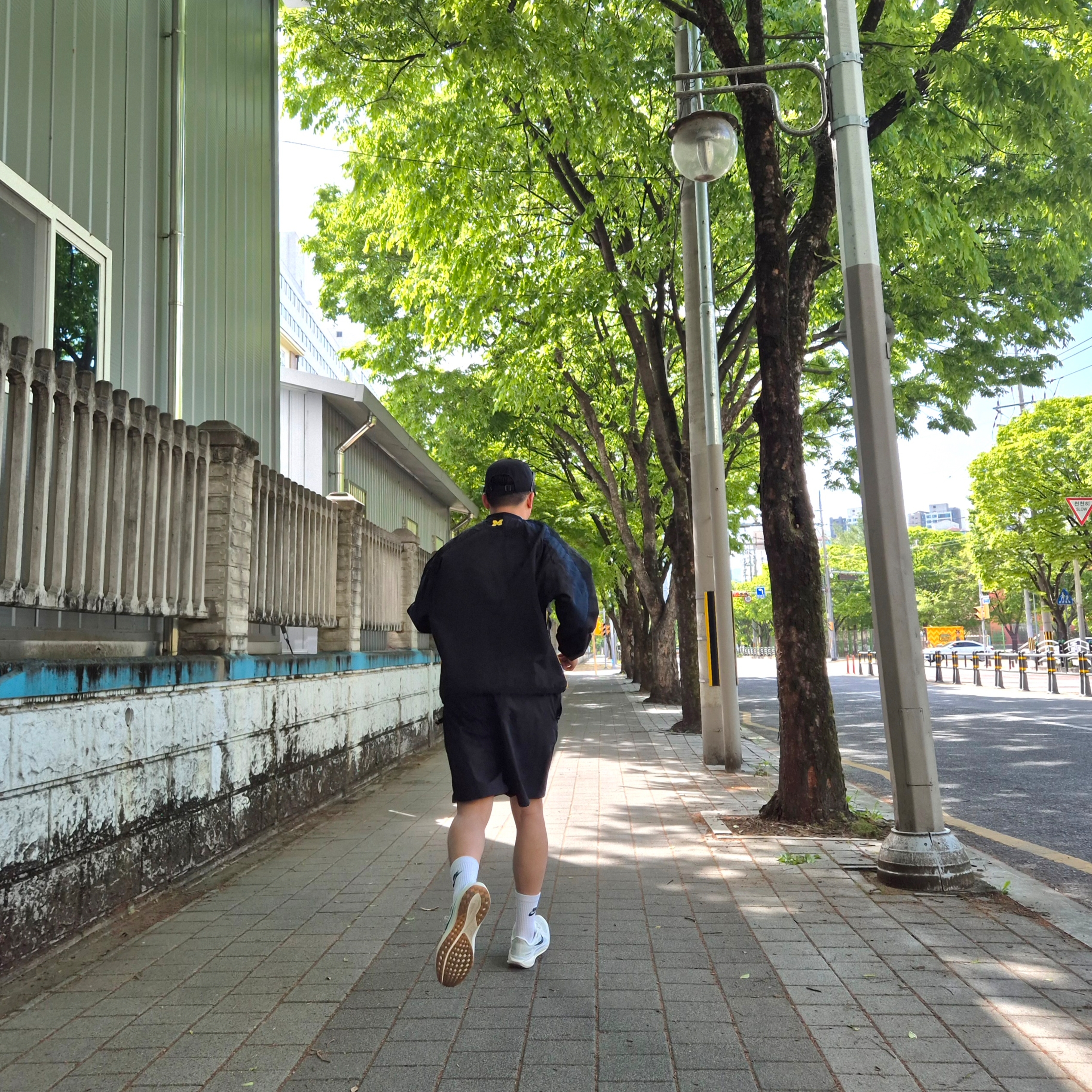 Nike Air Zoom Pegasus 41 Sail Blue Tint, Nike Everyday Essential Crew Socks White Black (3 Pack/Korean Ver.) 착용 스타일 - 3
