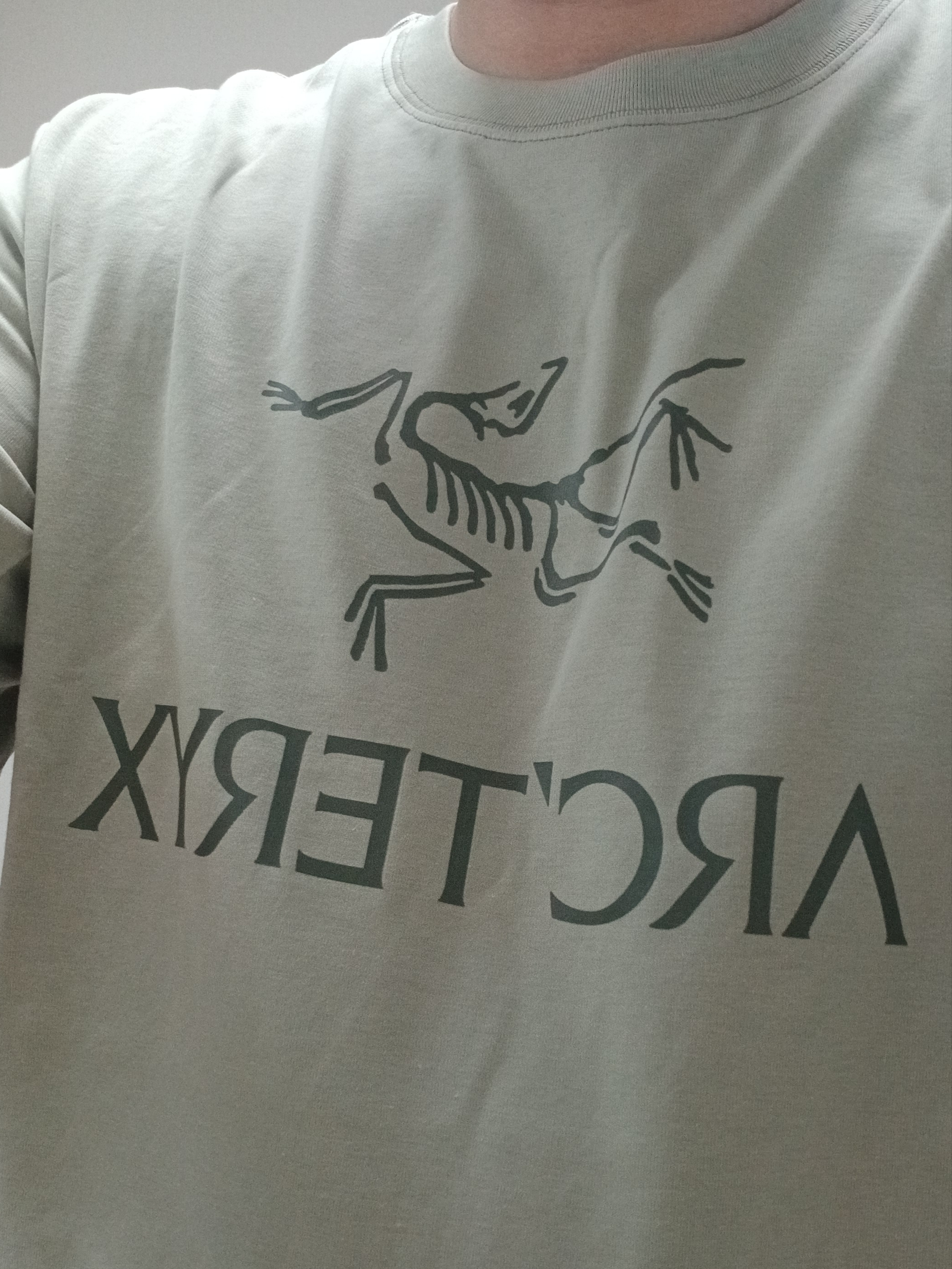 Arc'teryx Arc'word Logo SS T-Shirt Habitat 착용 스타일 - 2