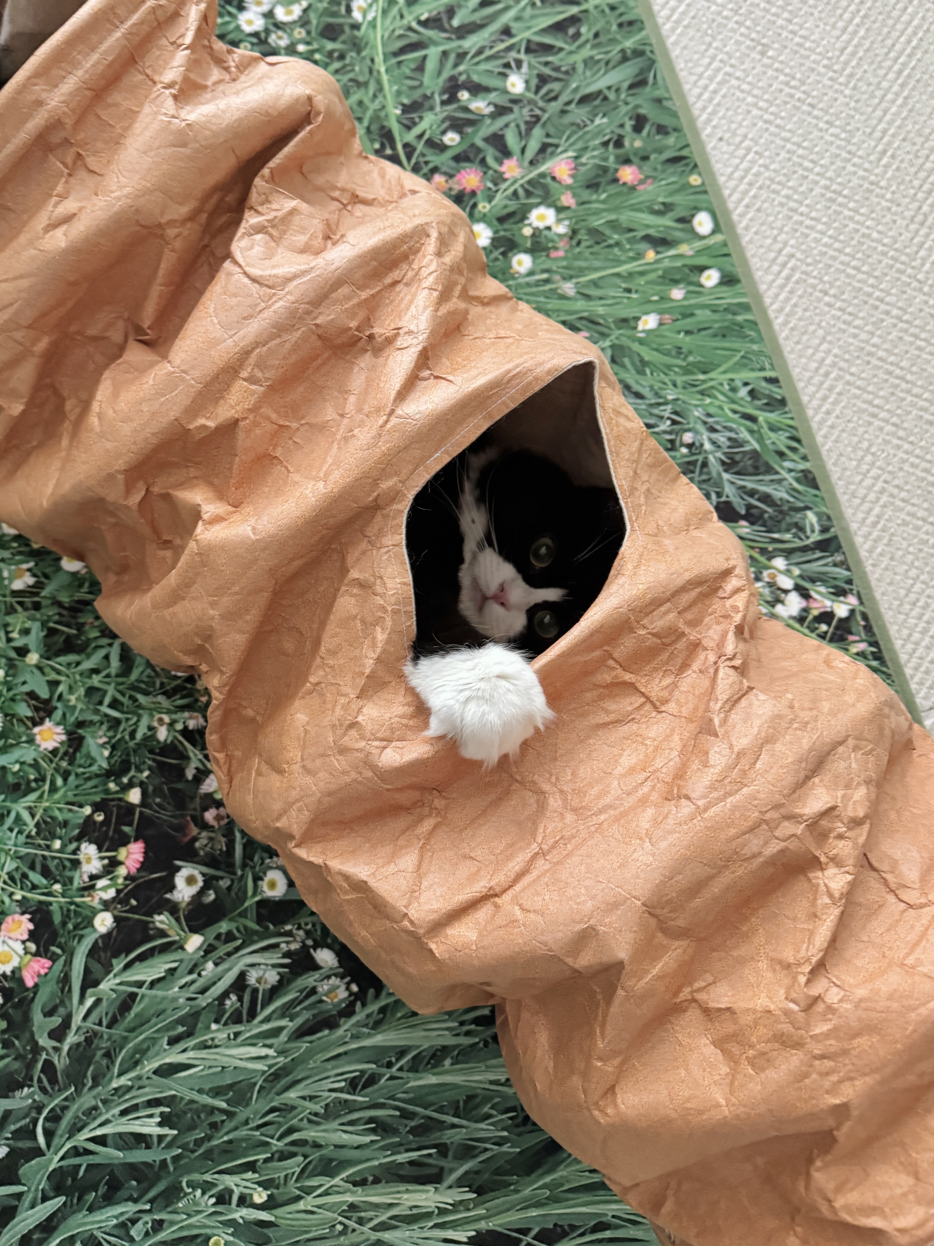 Gottagohome Tyvek cat tunnel - 3rd hole 착용 스타일 - 3