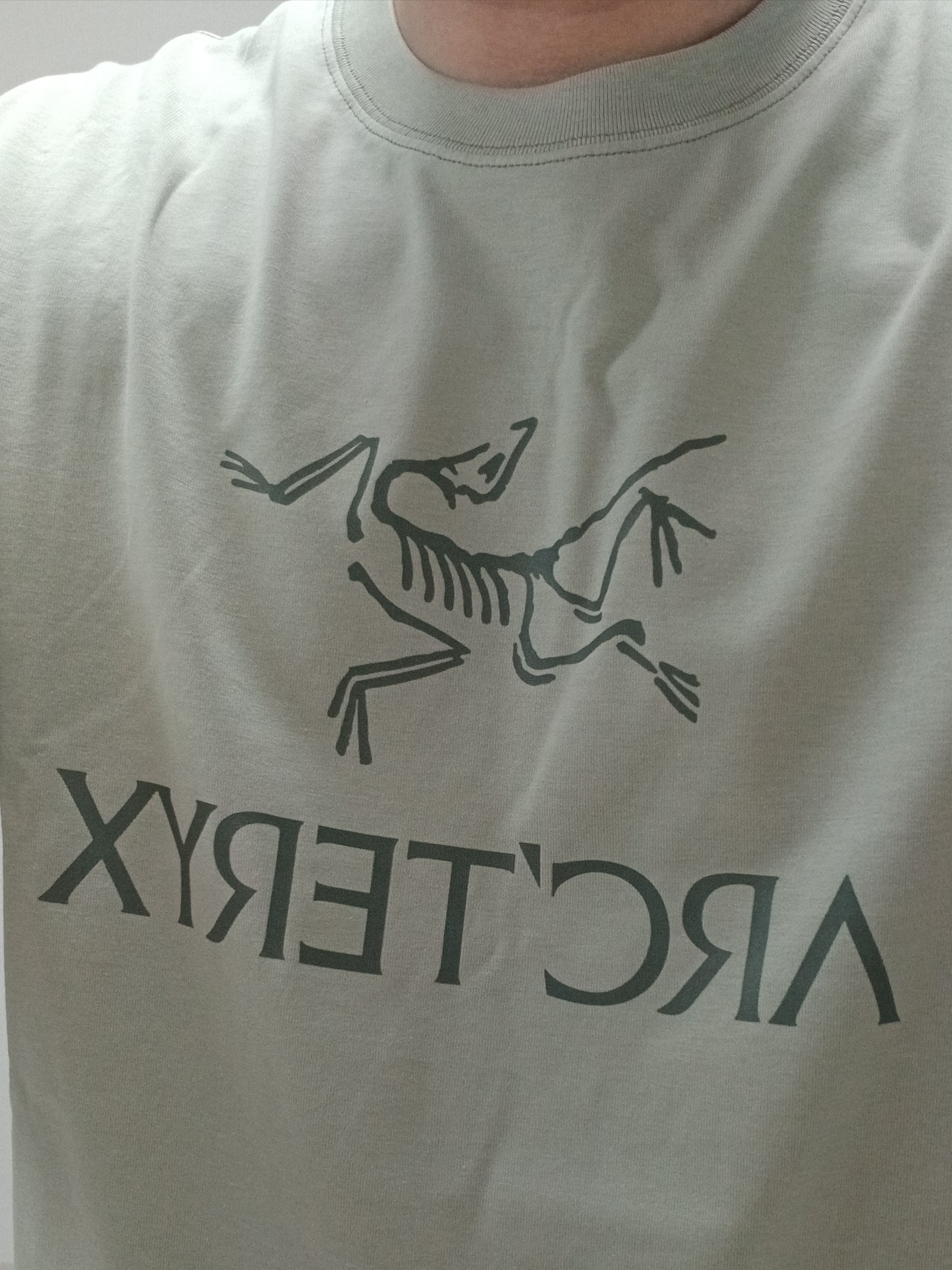 Arc'teryx Arc'word Logo SS T-Shirt Habitat 착용 스타일 - 8