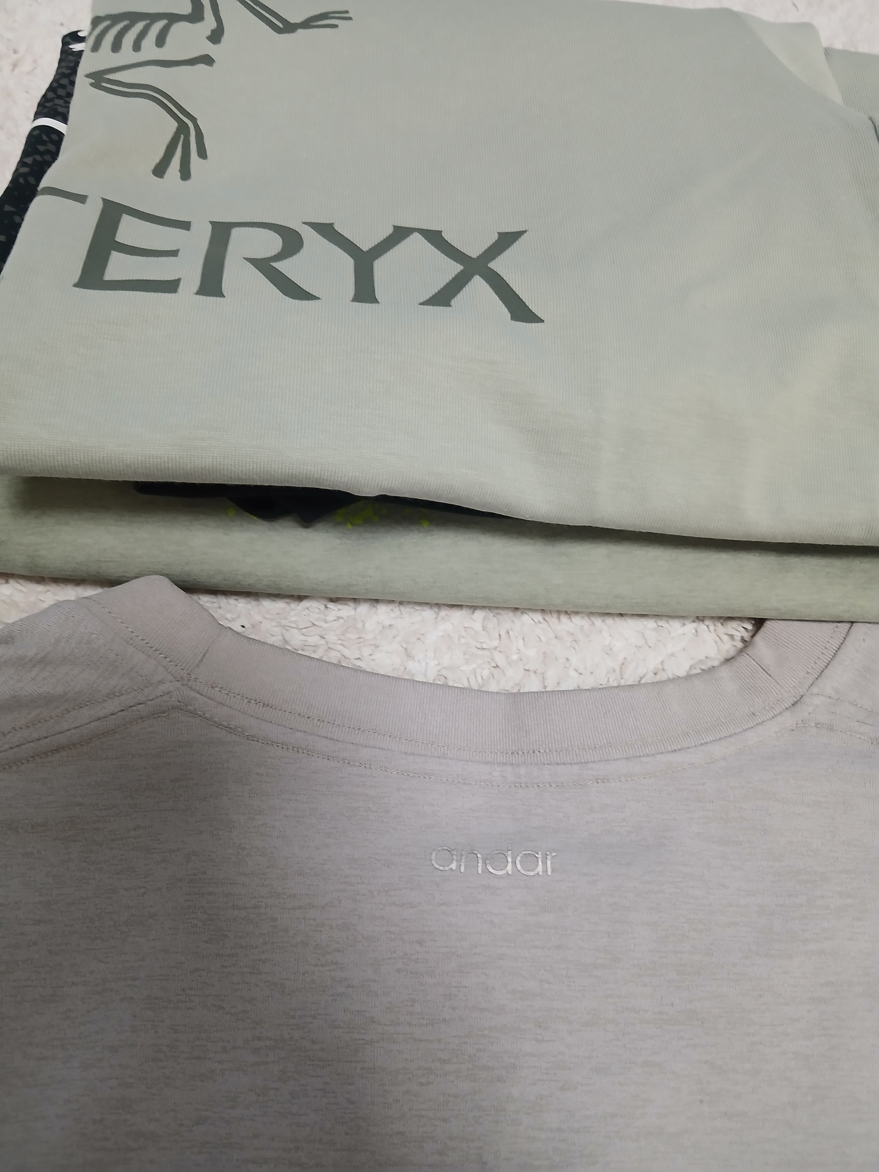 Arc'teryx Arc'word Logo SS T-Shirt Habitat 착용 스타일 - 5