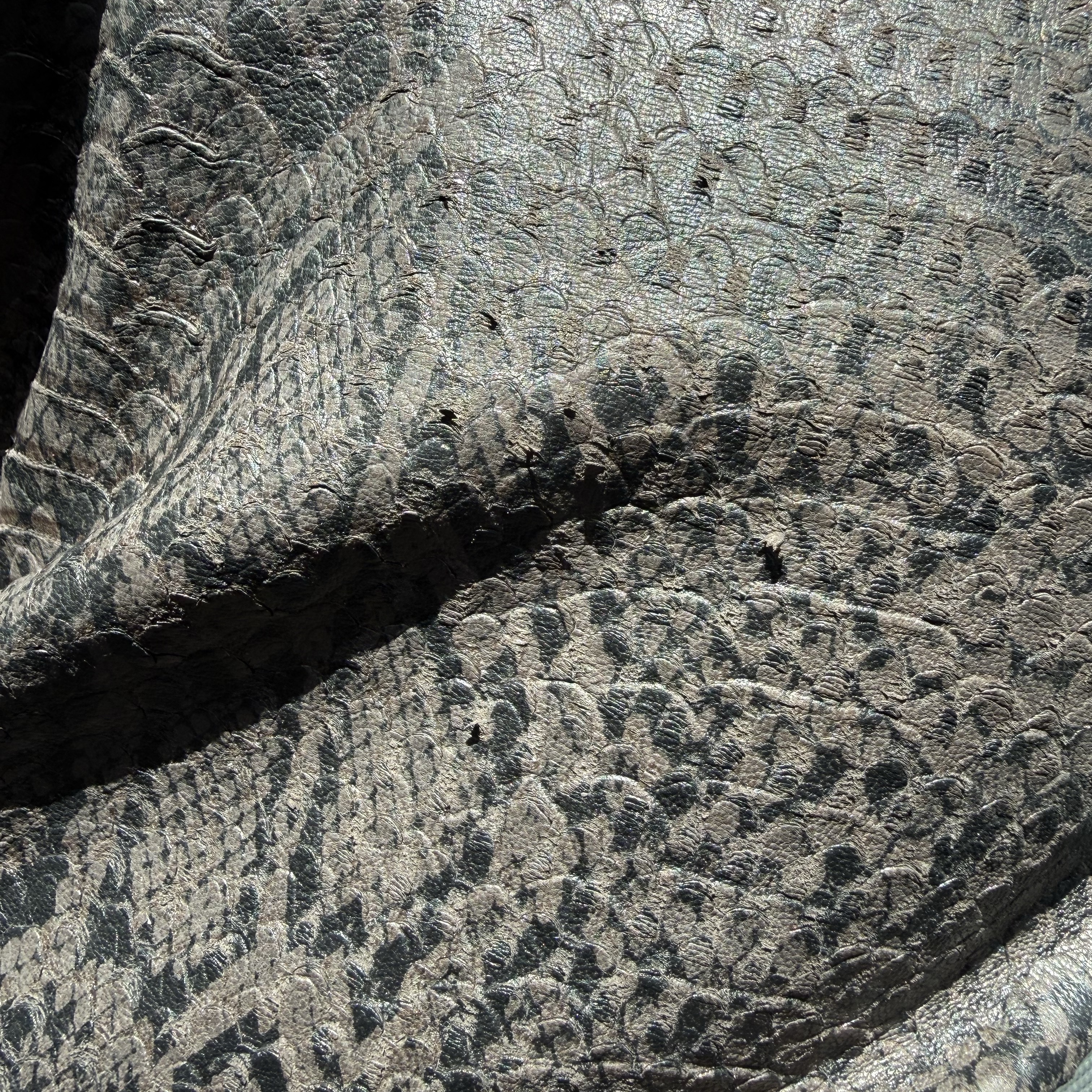 Supreme Baggy Leather Shorts Snakeskin - 25SS 착용 스타일 - 3
