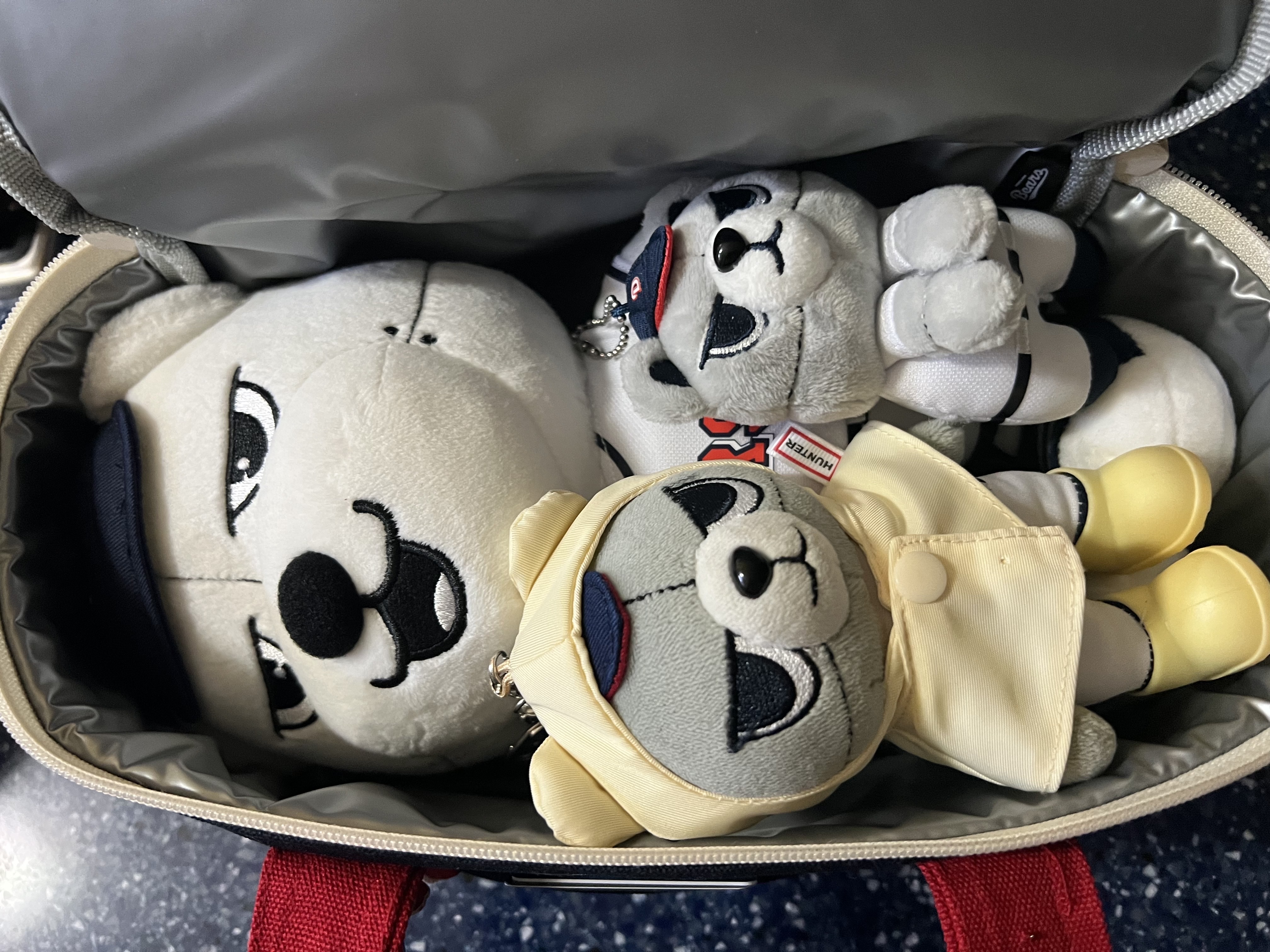 [KREAM 단독] Doosan Bears x Kokorokara Hustle Pudding 2pcs & Kokoro Bear Cooler Bag Set, [KREAM 단독] Doosan Bears x Kokorokara Hustle Pudding Set of 2 착용 스타일 - 3