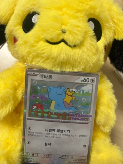 스타일 카드