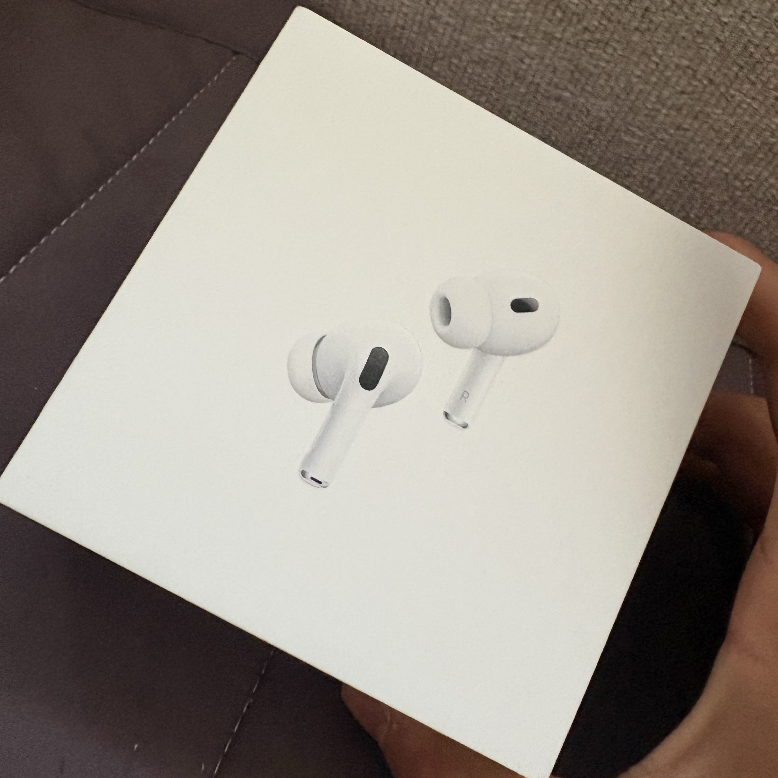 Apple Airpods Pro 2nd Gen with MagSafe Charging Case USB C (Korean Ver.) 착용 스타일