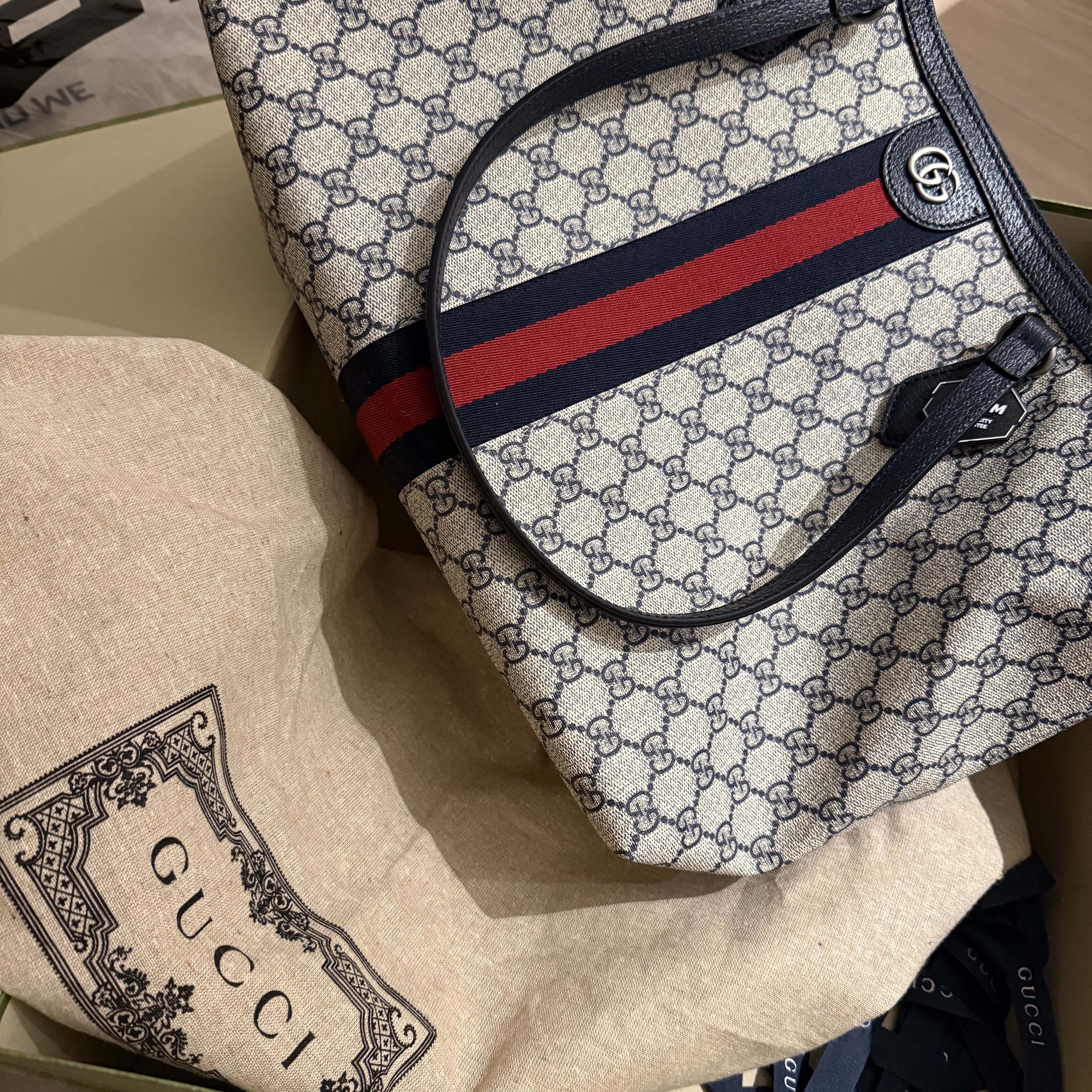 Gucci Ophidia Medium GG Tote Beige Blue Supreme 착용 스타일