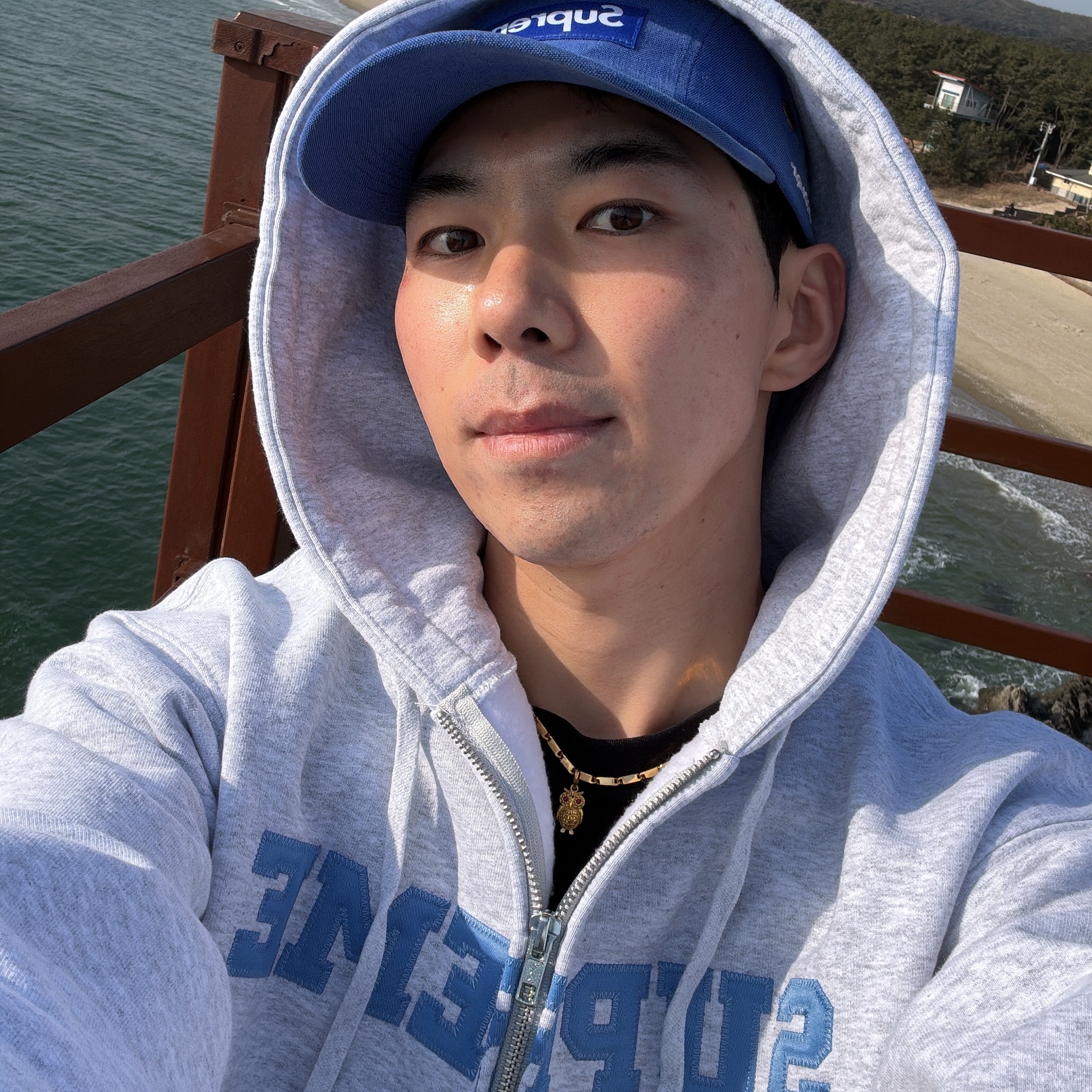 Supreme Collegiate Applique Zip Up Hooded Sweatshirt Ash Grey - 25FW, Supreme Brushed Cordura Camp Cap Royal - 22FW 착용 스타일