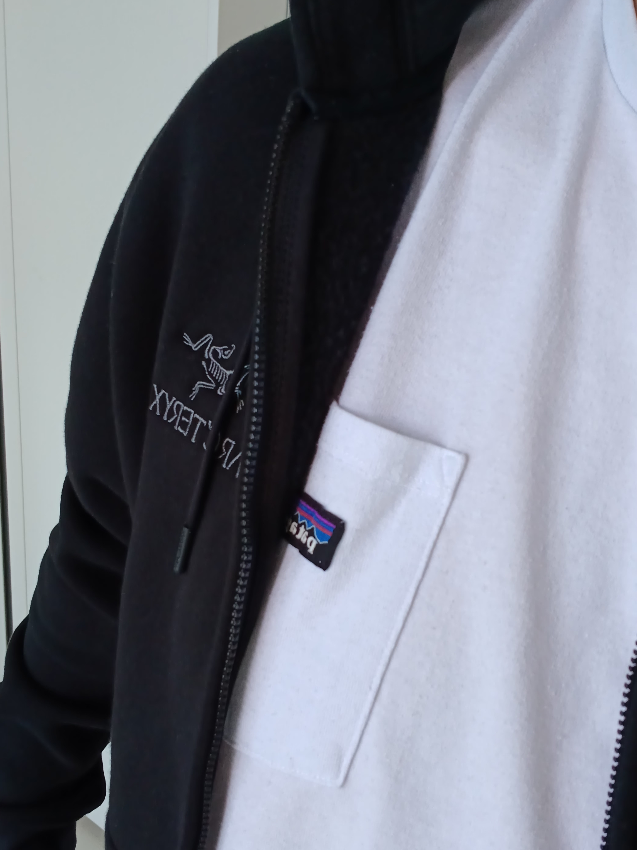 Arc'teryx Emblem Fleece Full-Zip Hoody Black, Patagonia Daily Pocket Short Sleeve T-Shirt Birch White 착용 스타일 - 5