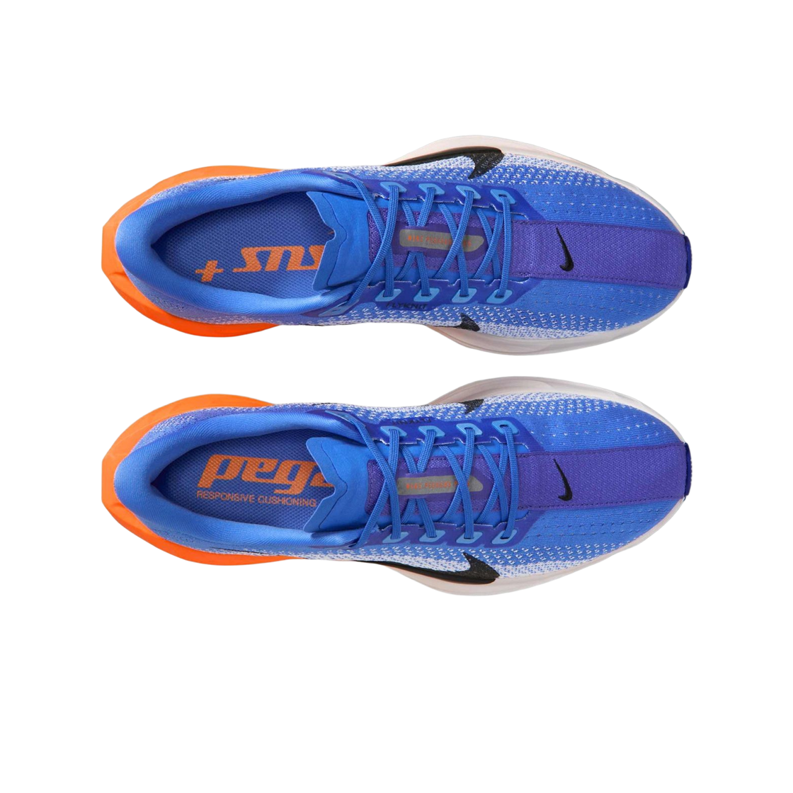 나이키 페가수스 플러스 크리스탈 블루 하이드로젠 블루(Nike Pegasus Plus Crystal Blue Hydrogen Blue) - 2