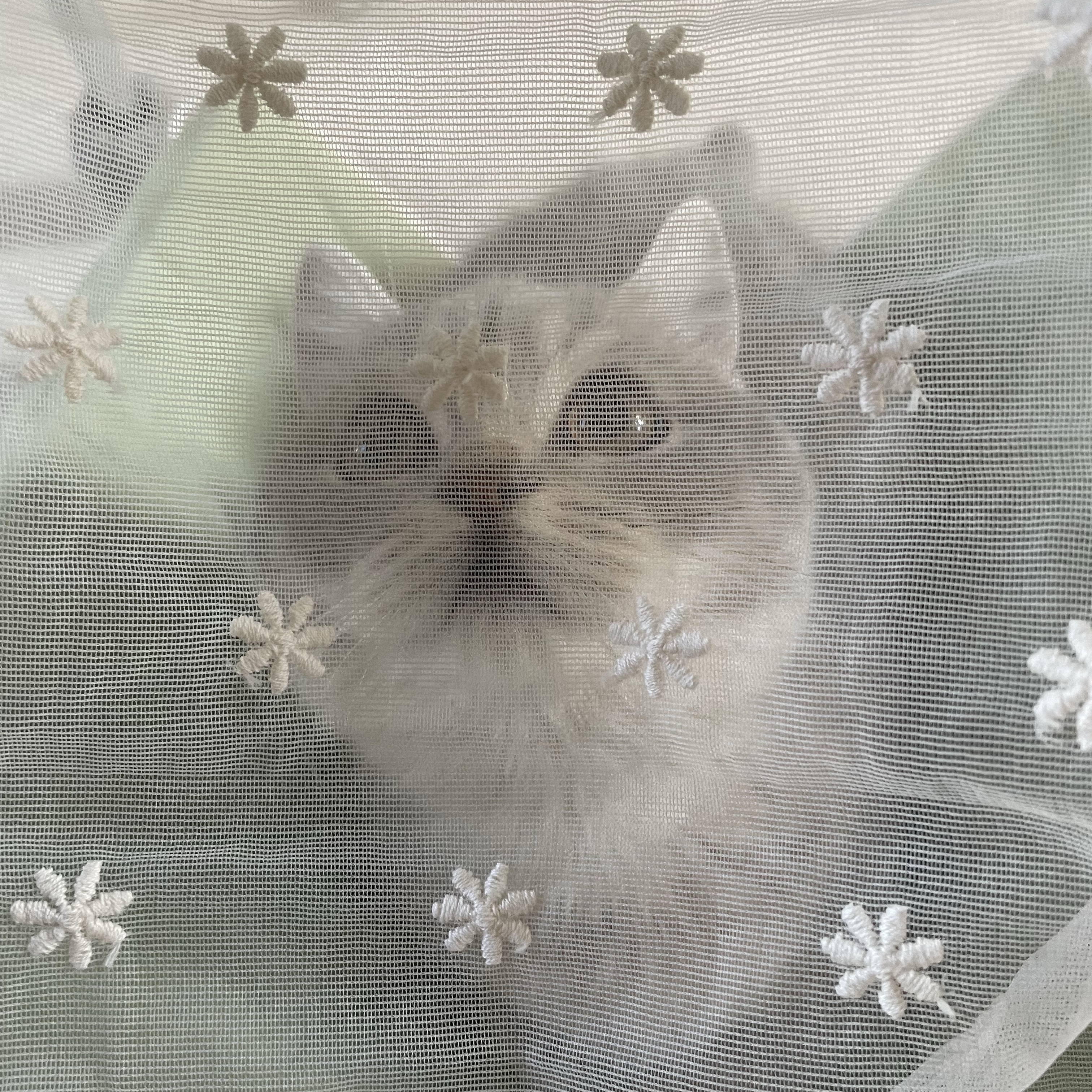 Gottagohome Invisible cat cape toy, Gottagohome Cat on the roof Padded mat 착용 스타일