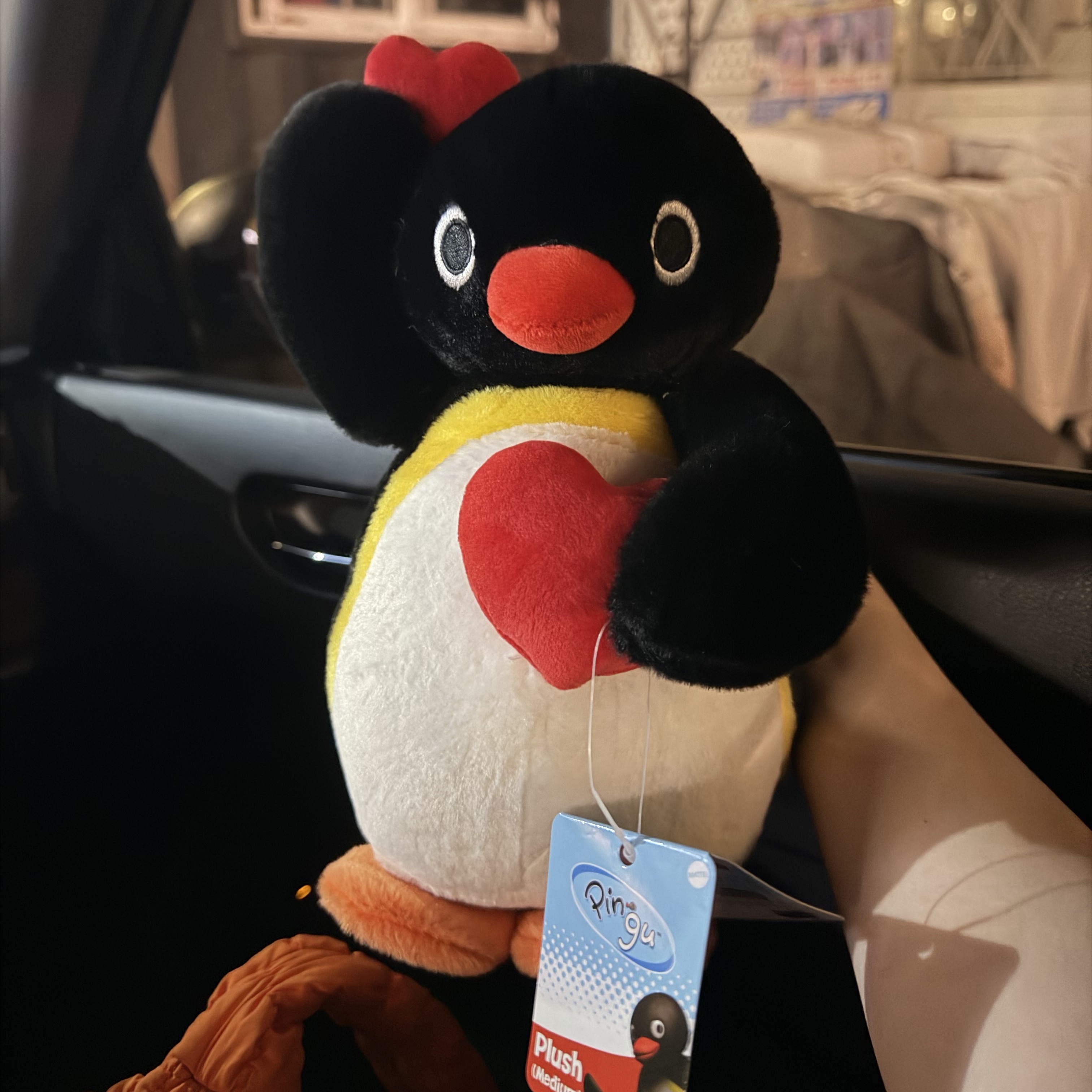 Pingu Double Heart Doll 27cm 착용 스타일
