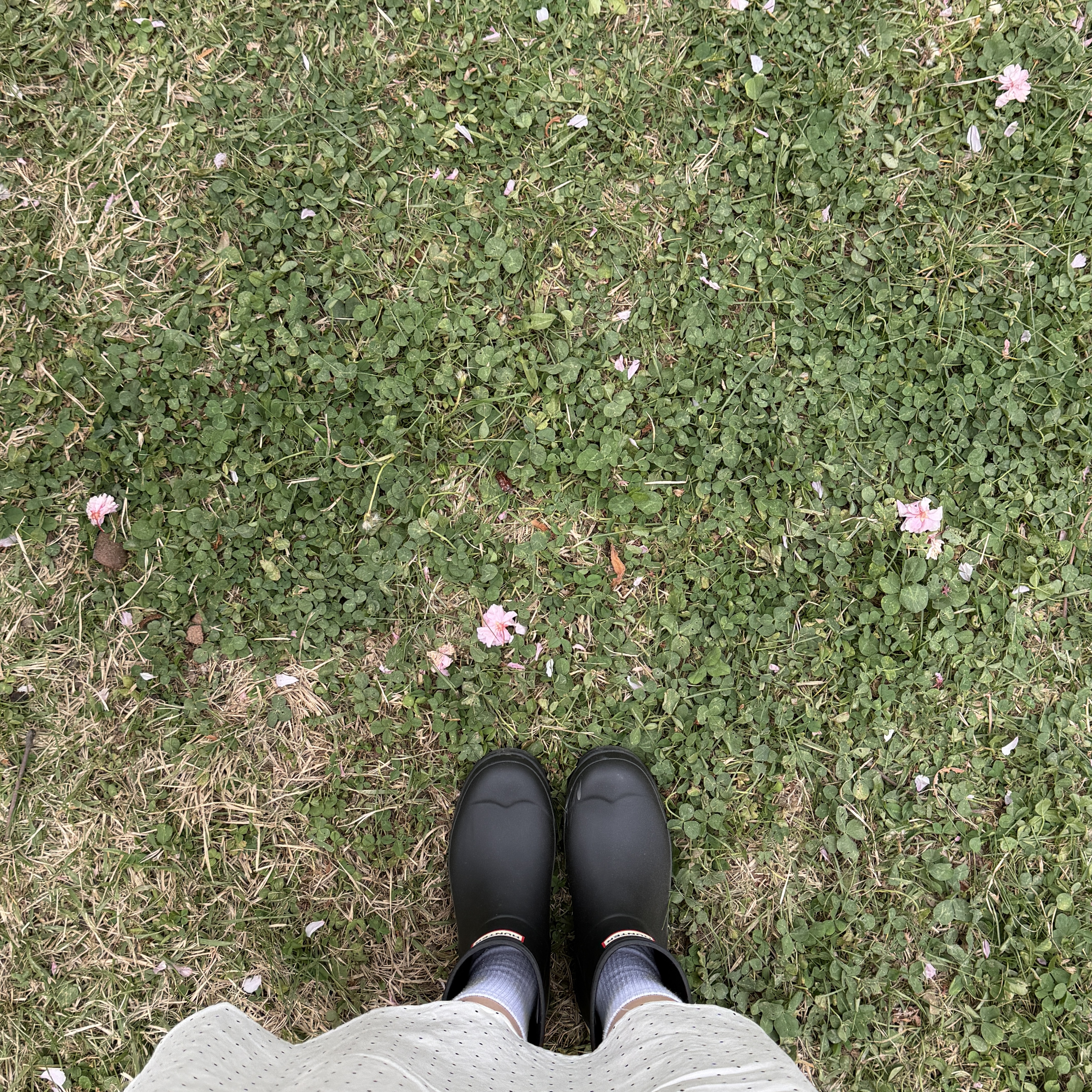 (W) Hunter Play Short Rain Boots Black 착용 스타일