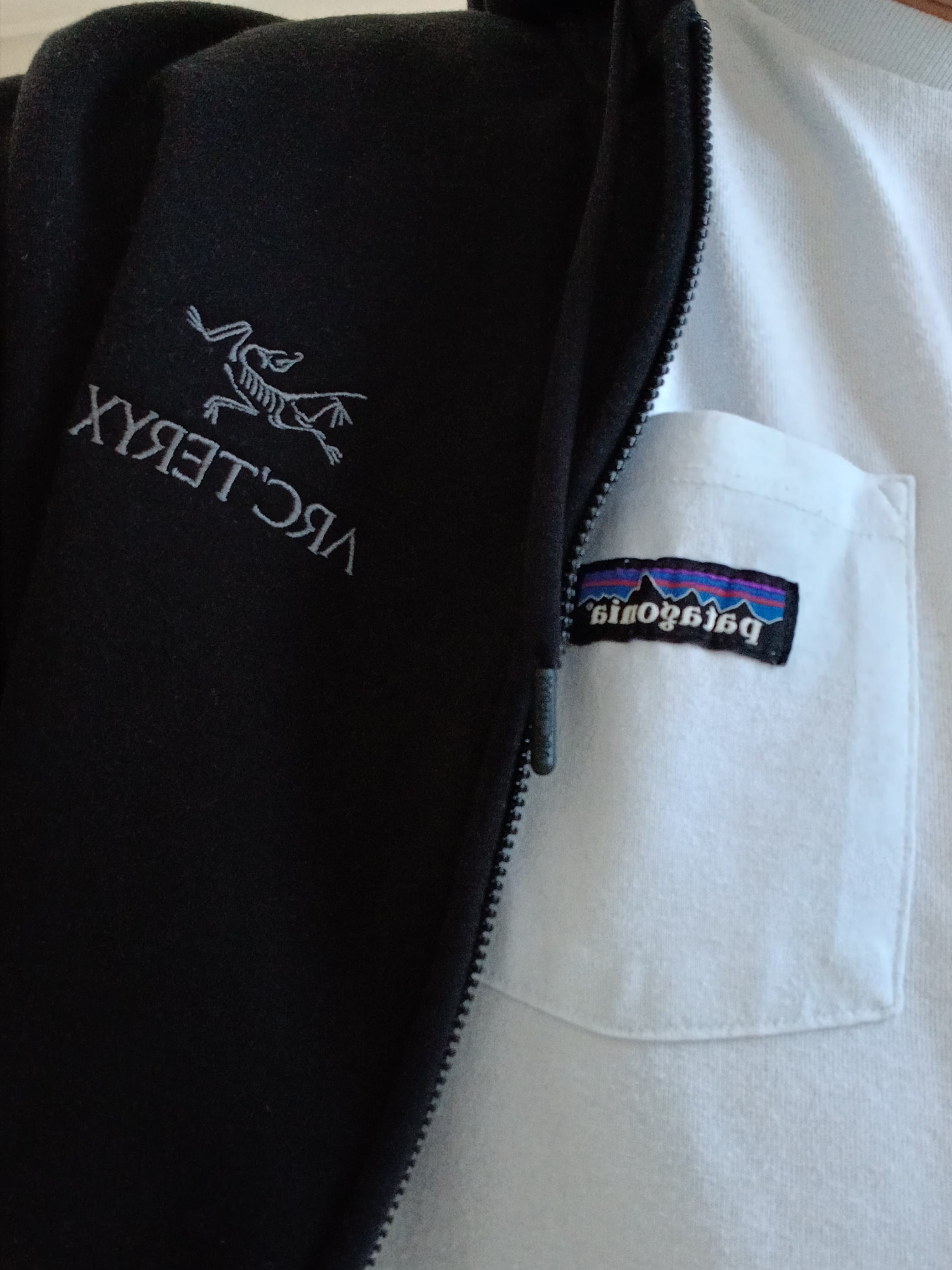 Arc'teryx Emblem Fleece Full-Zip Hoody Black, Patagonia Daily Pocket Short Sleeve T-Shirt Birch White 착용 스타일 - 1