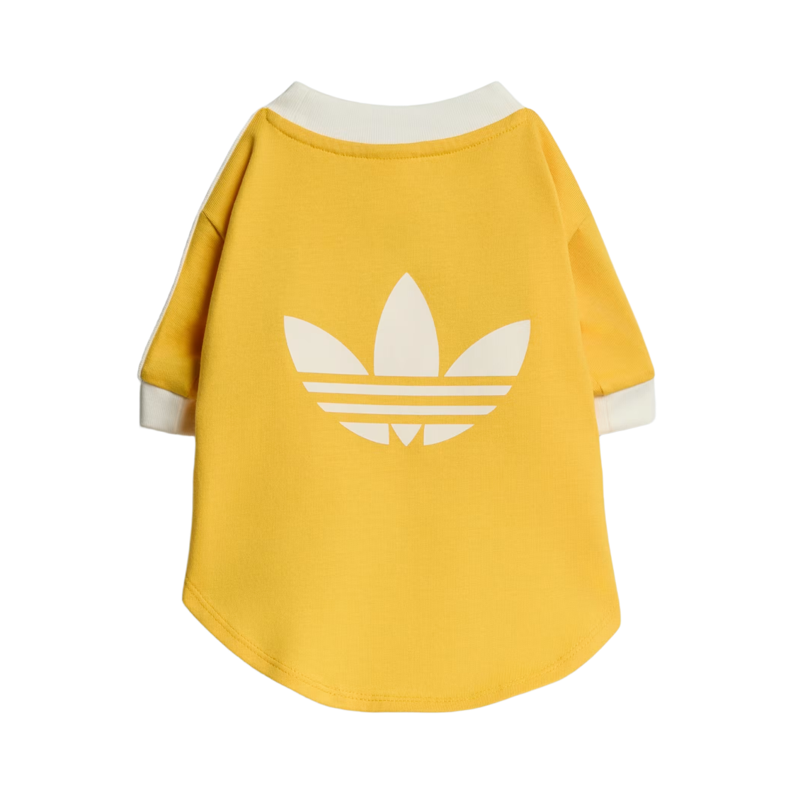 아디다스 펫 캘리 티셔츠 볼드 골드 오프 화이트(Adidas Pet Cali T-Shirt Bold Gold Off White) - 2