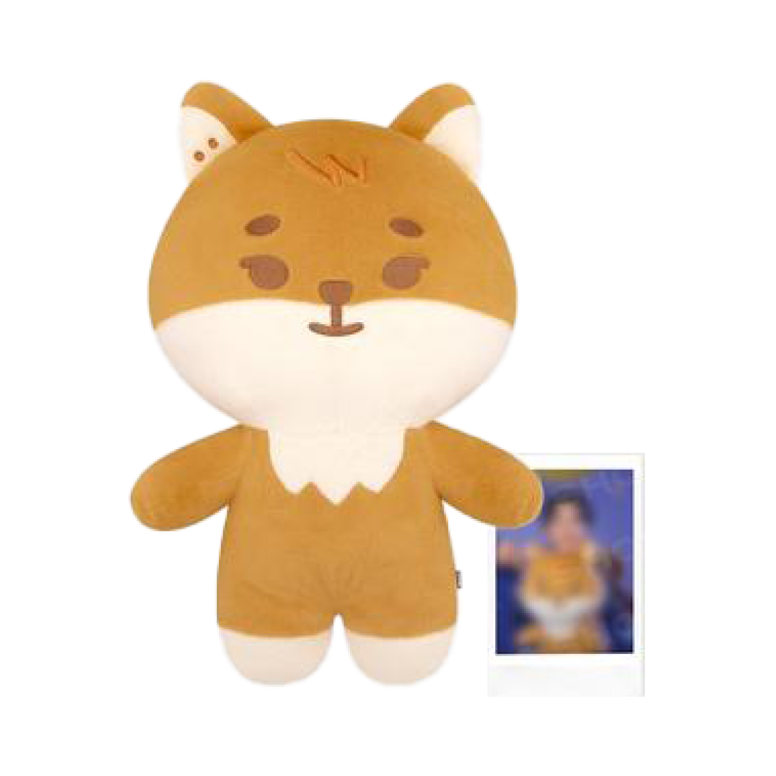 데이식스 쁘띠 데니멀즈 플러시 케 자이언트 버전 - 2025년 더 프레젠트(DAY6 Petit Denimalz Plush Ke Giant Ver. - 2025 The Present) - 1