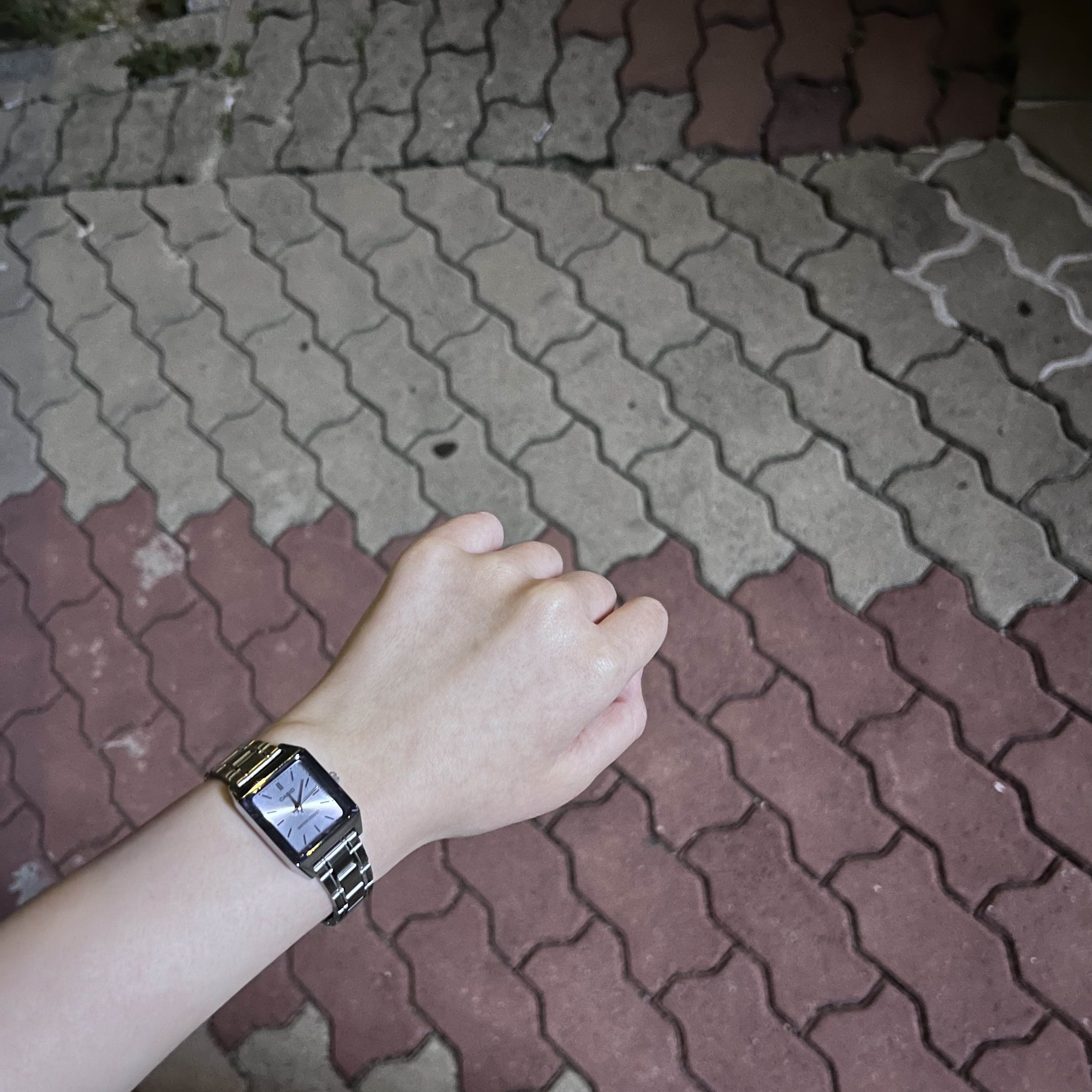 Casio LTP-V007D-2E 착용 스타일