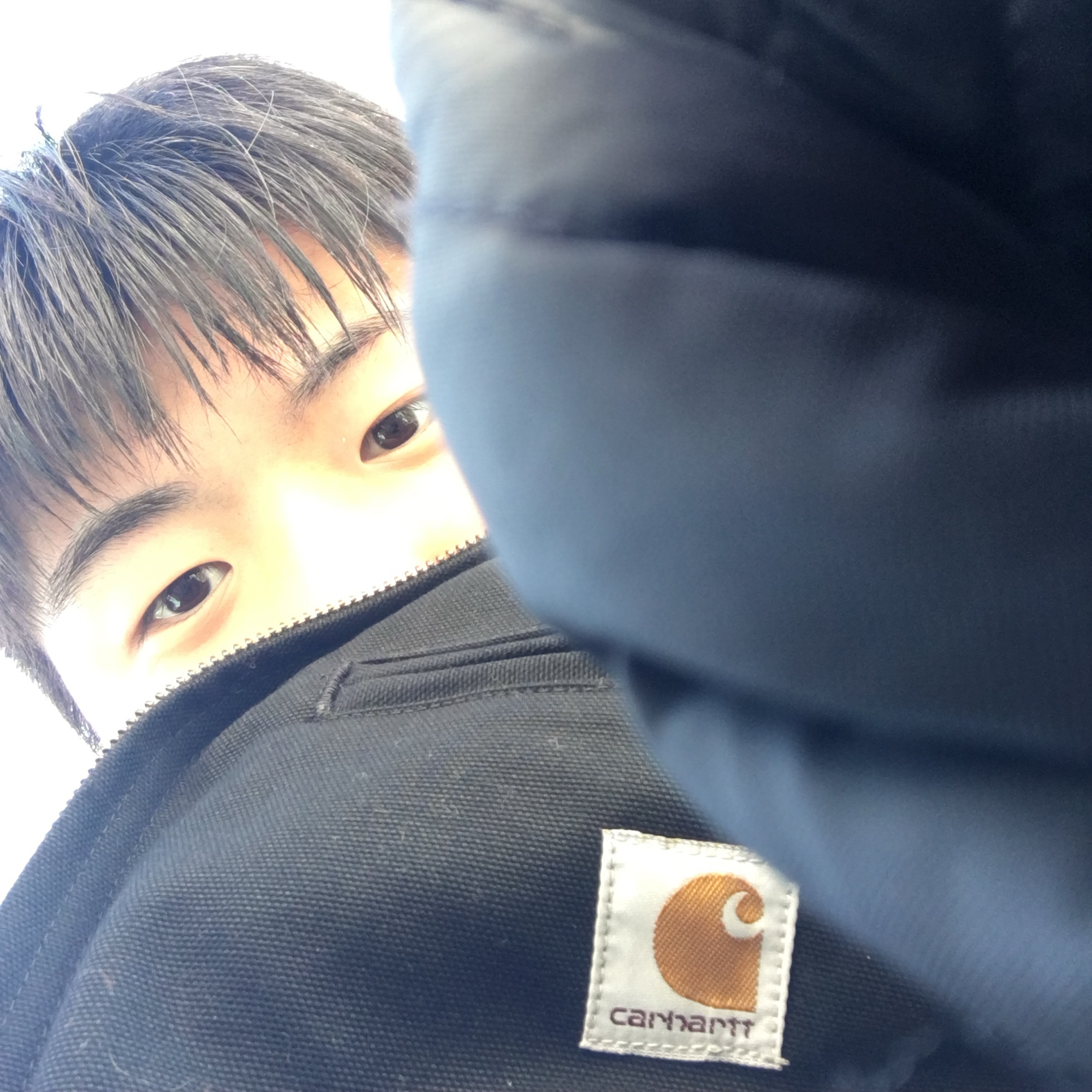 Carhartt Blanket Lined Relaxed Fit Regular Duck Detroit Jacket Black 착용 스타일