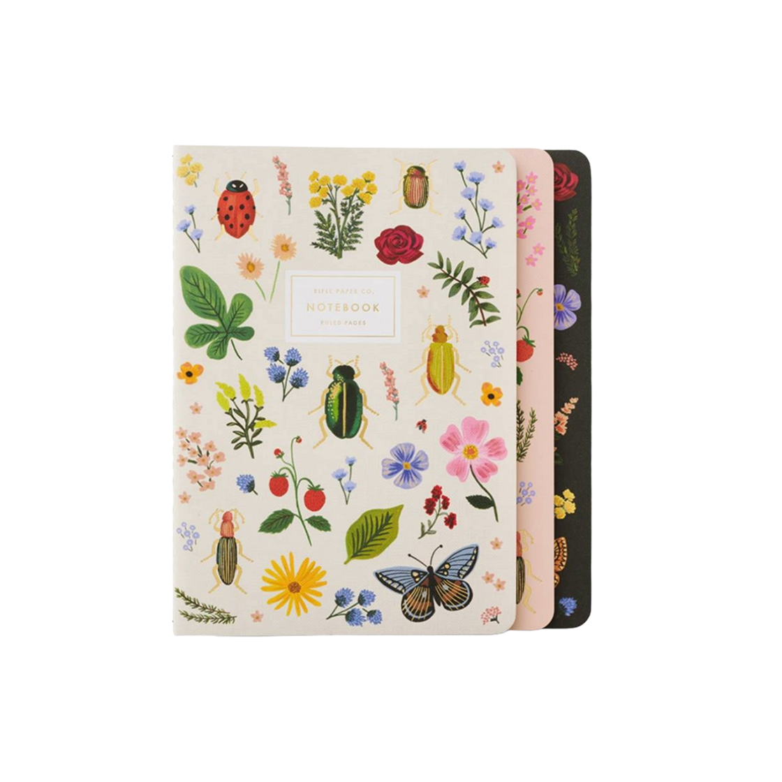 라이플페이퍼 Curio 스티치 노트북 세트(Curio Stitched Notebook Set)