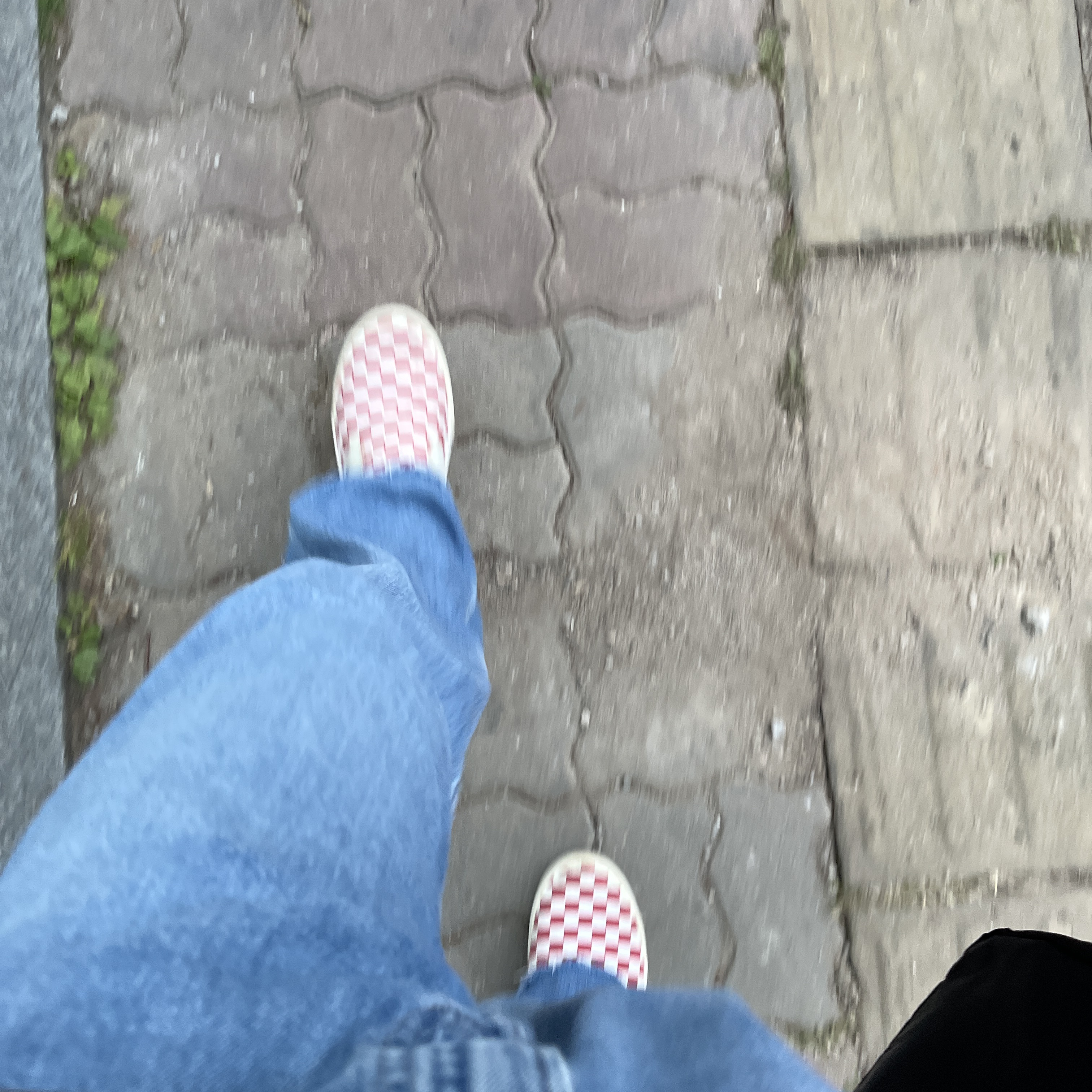 Vans ComfyCush One Checkerboard Racing Red Marshmallow 착용 스타일