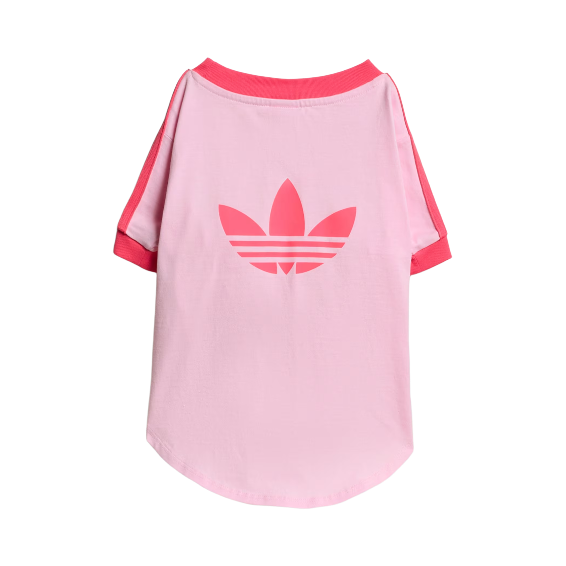아디다스 펫 캘리 티셔츠 클리어 핑크 리얼 핑크(Adidas Pet Cali T-Shirt Clear Pink Real Pink) - 2