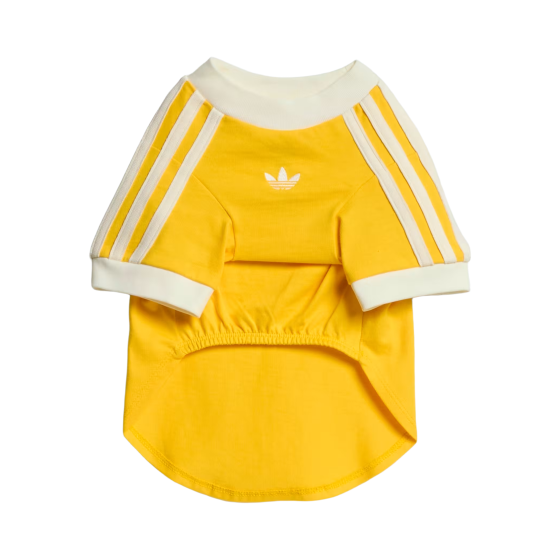 아디다스 펫 캘리 티셔츠 볼드 골드 오프 화이트(Adidas Pet Cali T-Shirt Bold Gold Off White)