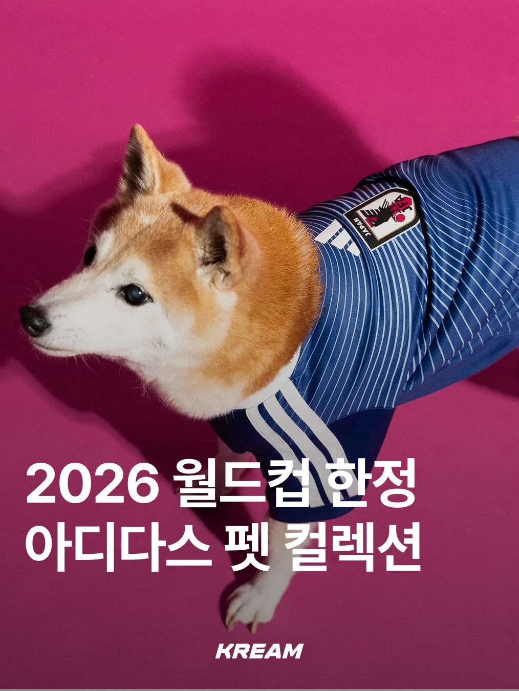 KREAM님의 스타일 - 1