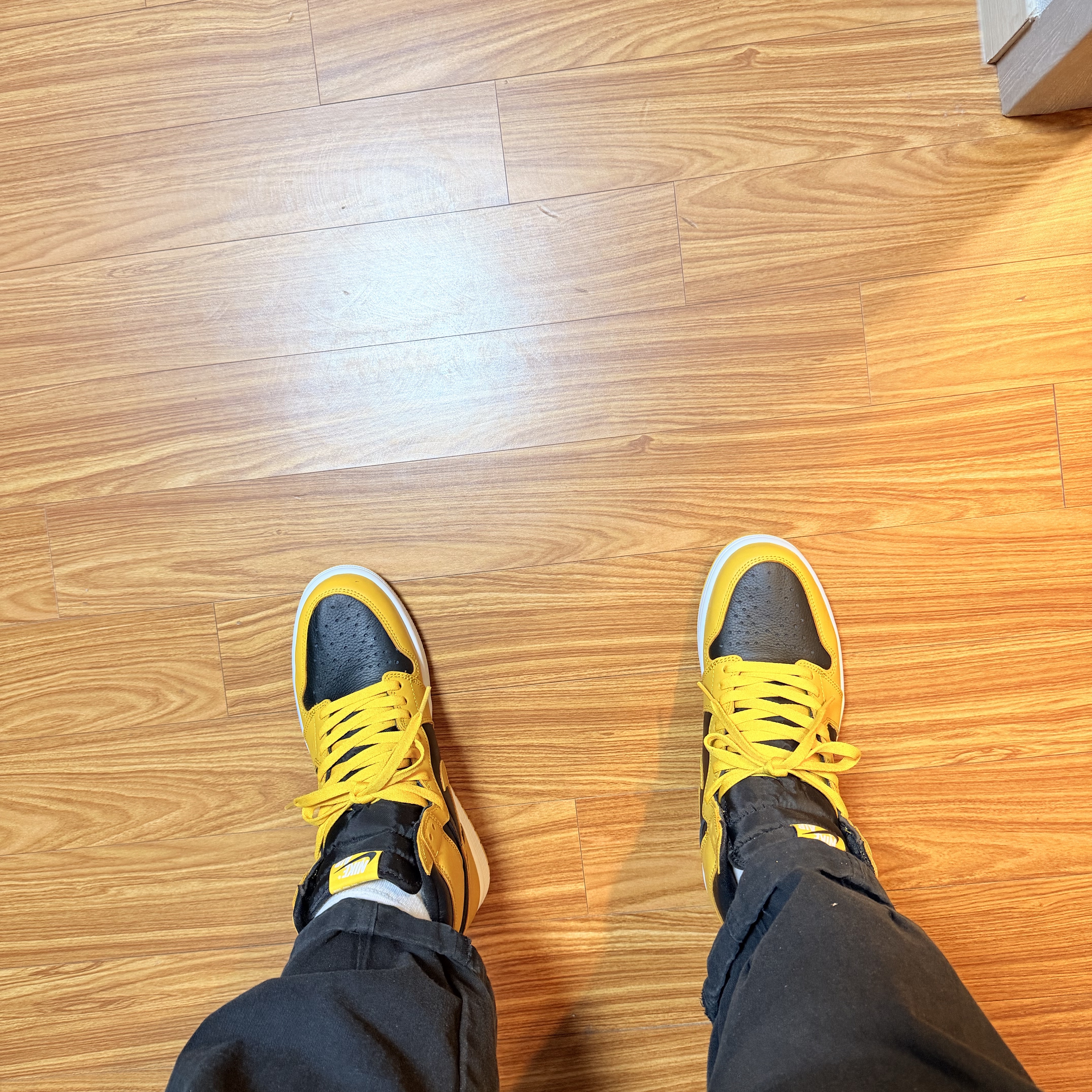 Jordan 1 Retro High OG Pollen 착용 스타일