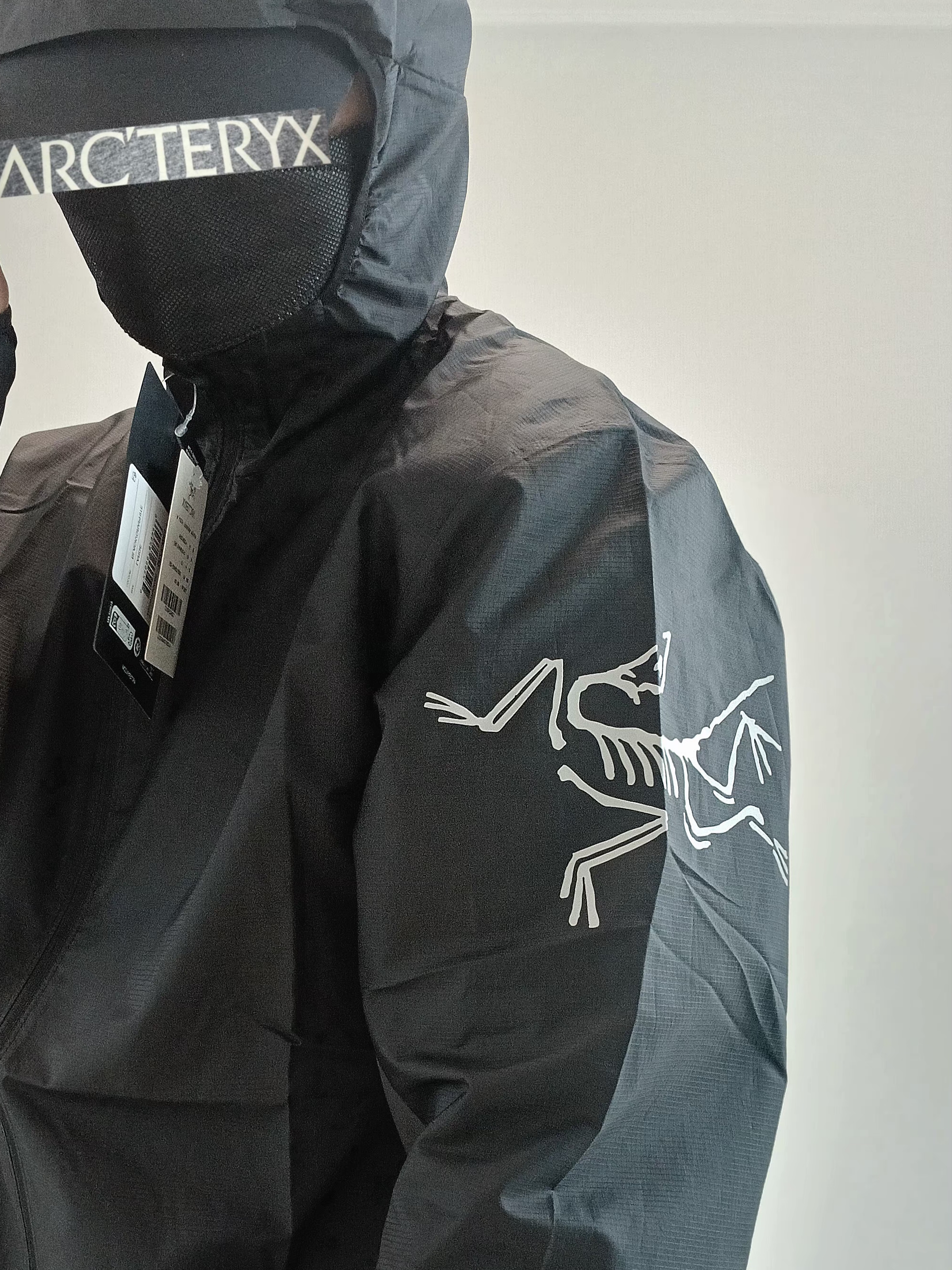 Patagonia Terrebonne Joggers Black, Arc'teryx Kragg SL Cotton Bird Word SS T-Shirt White Light Black 착용 스타일 - 7