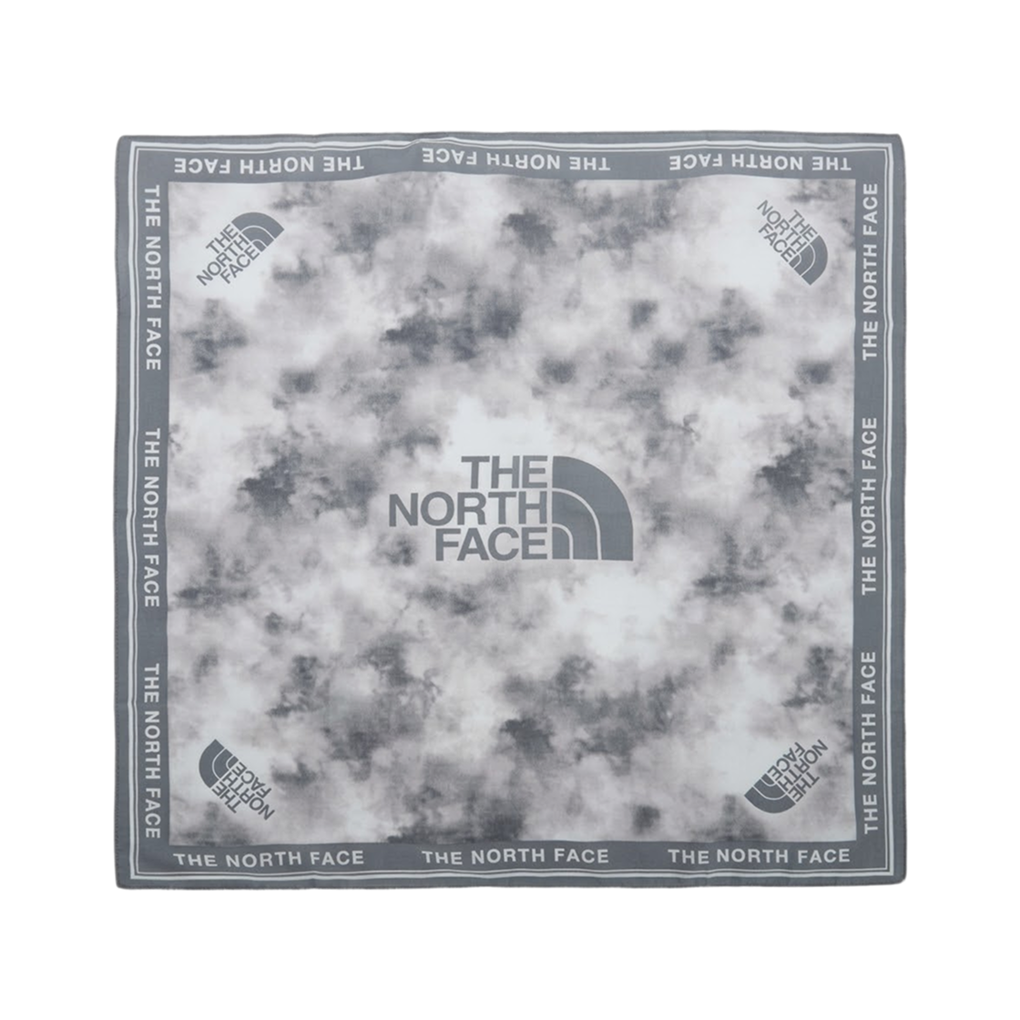 노스페이스 반다나 스피드 80's 엑스 스틸 그레이 - 26SS(The North Face Bandana Speed 80's EX ST-Shirtl Gray - 26SS) - 2