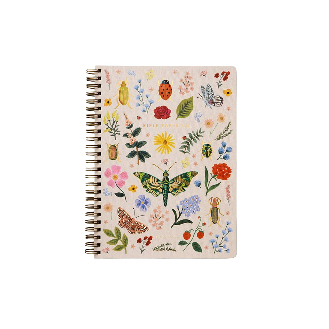 라이플페이퍼 Curio 스프링 노트북(Curio Spiral Notebook) - 1