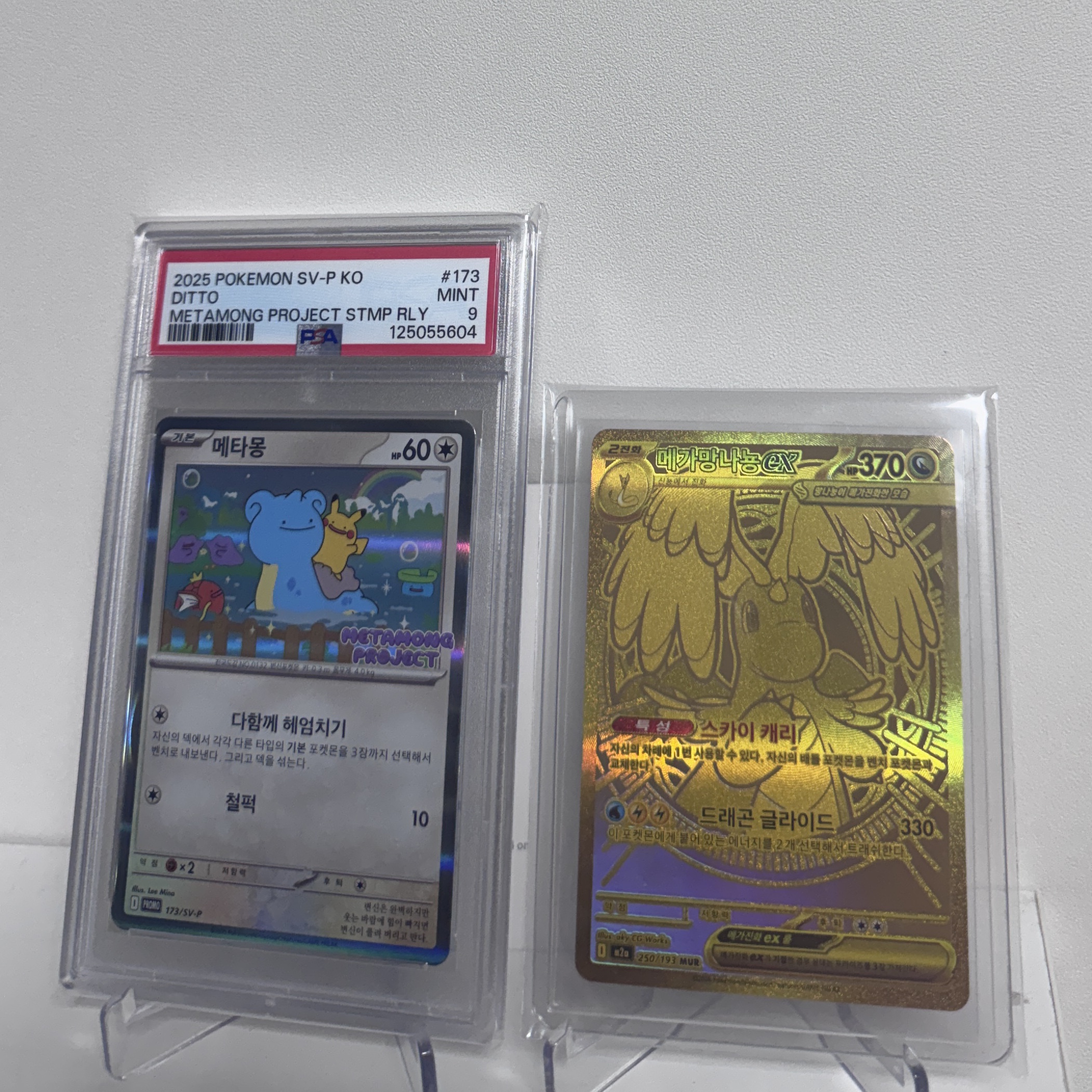 Pokemon TCG Ditto's Time Capsule Promo Card Ditto 착용 스타일