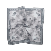 The North Face Bandana Speed 80's EX ST-Shirtl Gray - 26SS