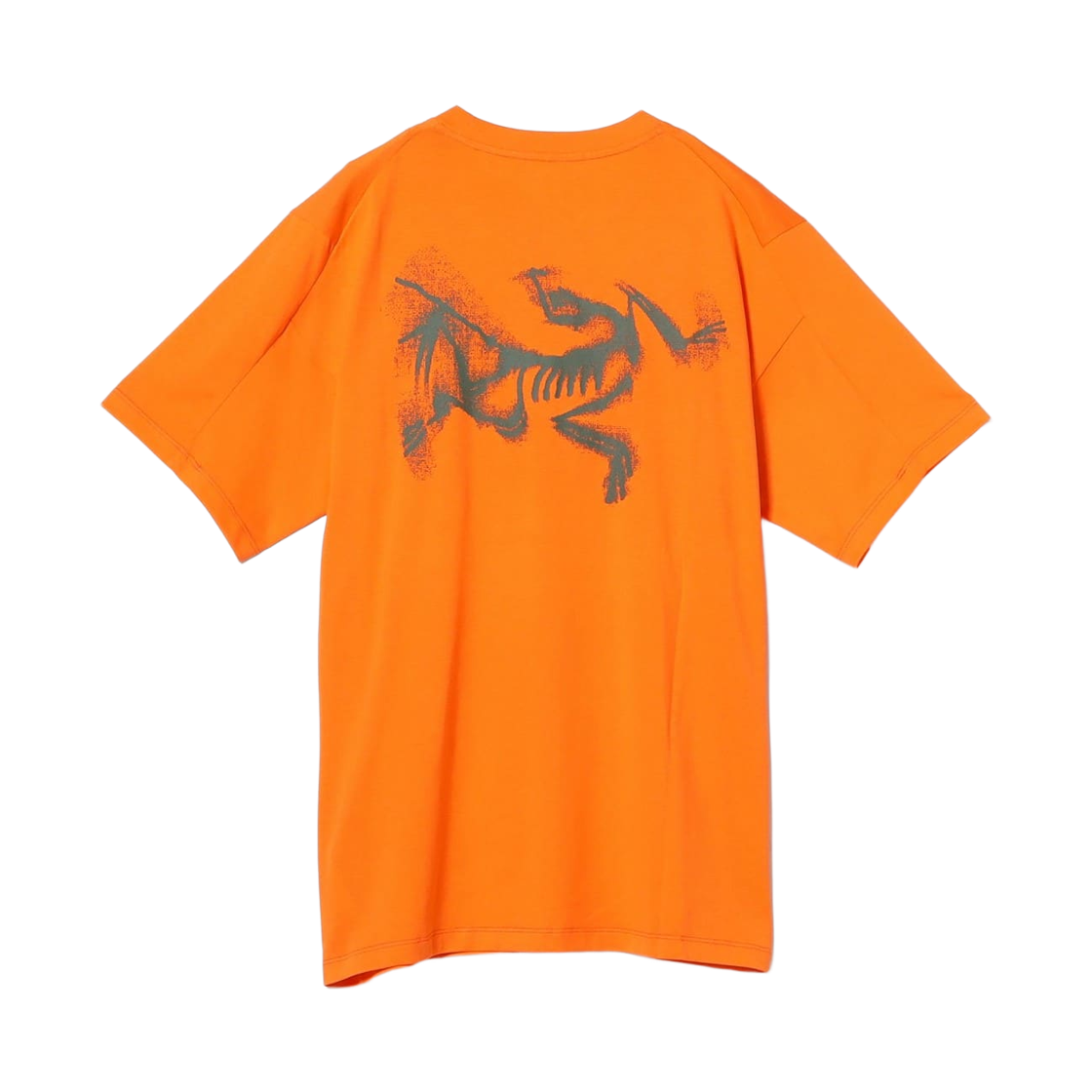 아크테릭스 크래그 SL 코튼 블러드 버드 SS 티셔츠 베르베 포리지(Arc'teryx Kragg SL Cotton Blurred Bird SS T-Shirt Verve Forage) - 2