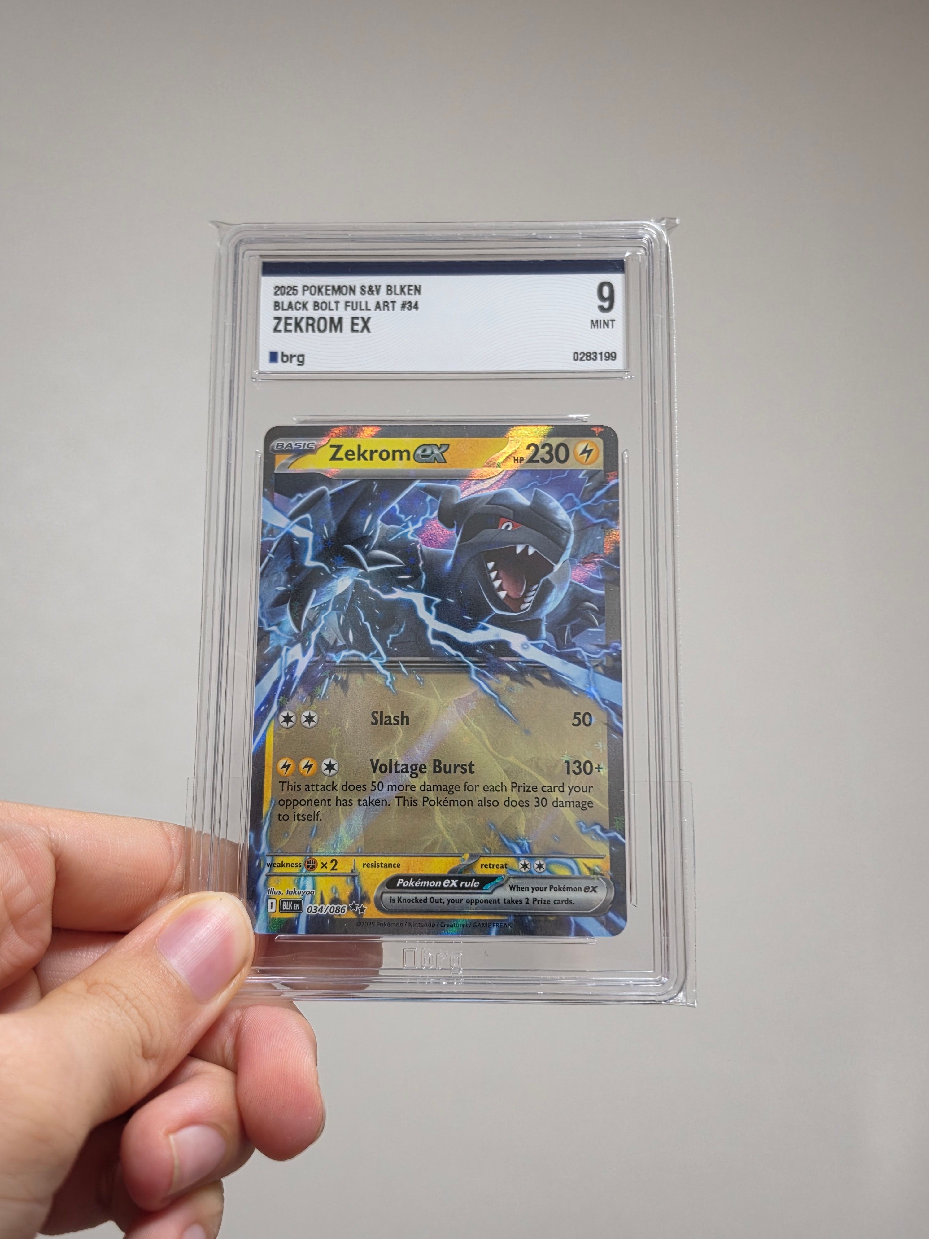 Pokemon TCG Zekrom ex DR Black Bolt (English Ver.) 착용 스타일