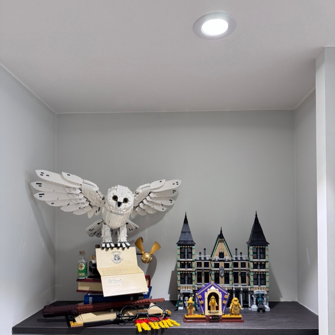 Lego Hogwarts Icons Collectors' Edition 착용 스타일