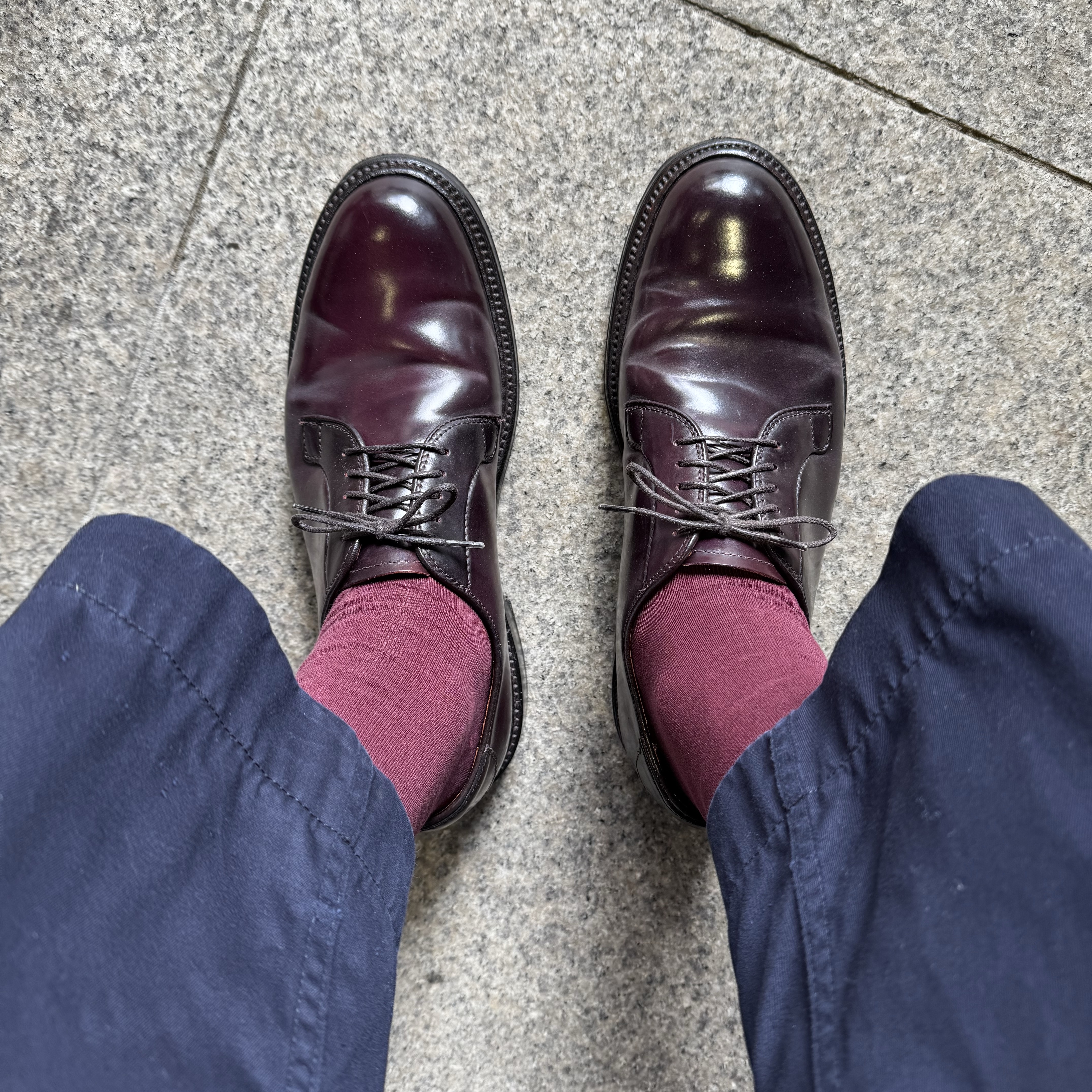 Alden 990 Cordovan Plain Toe Blucher Oxford Burgundy - D 착용 스타일