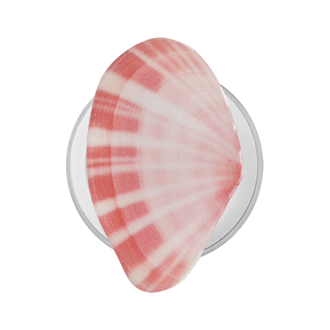 트위너 코랄 쉘 스마트 톡 (맥세이프)(Twiner Coral shell smart tok (MagSafe))