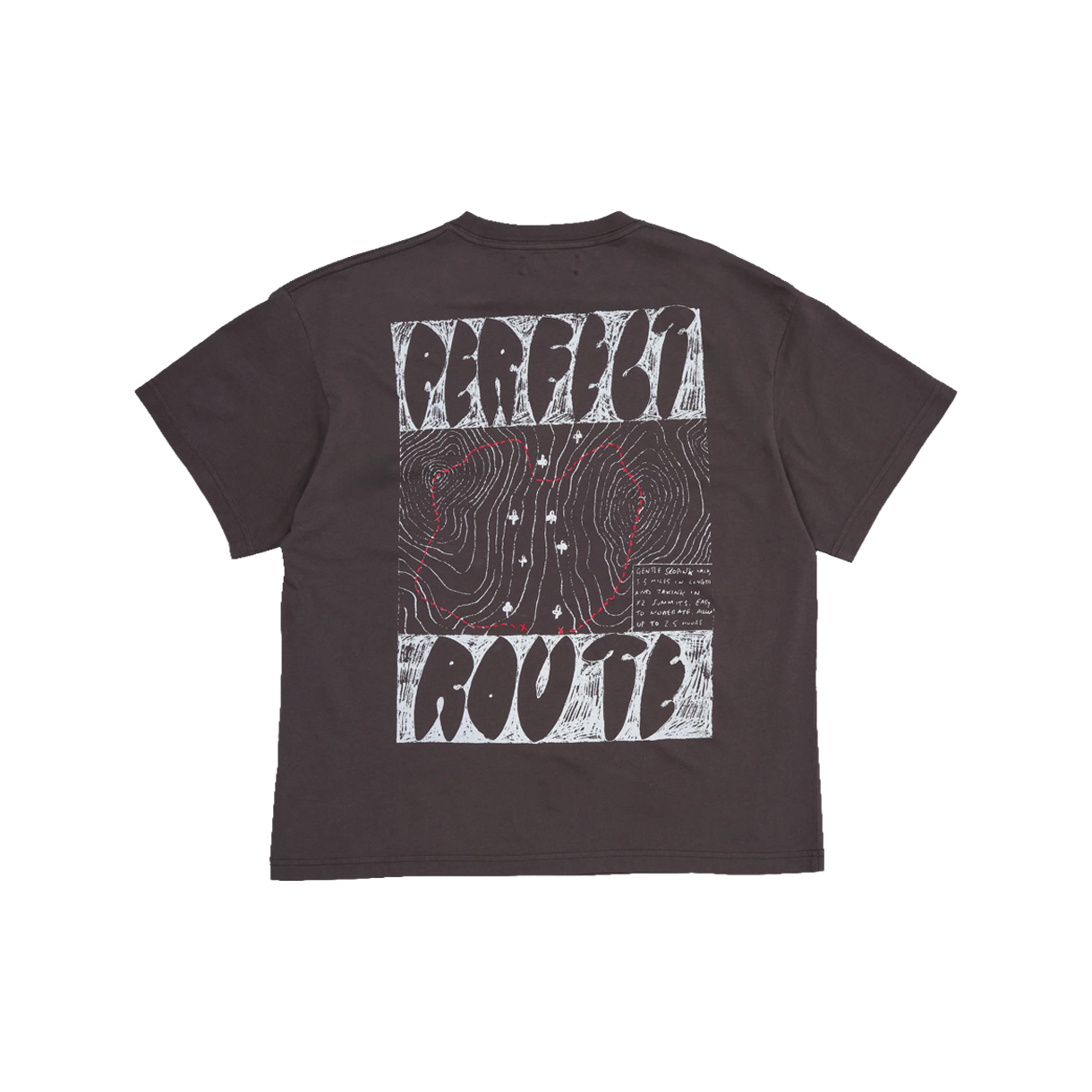 스토리 엠에프지 우먼 그레이트풀 티 숏슬리브 차콜 테이크 어 하이크 - 26FW(Story mfg Women Grateful Tee SS Charcoal Take A Hike - 26FW) - 2